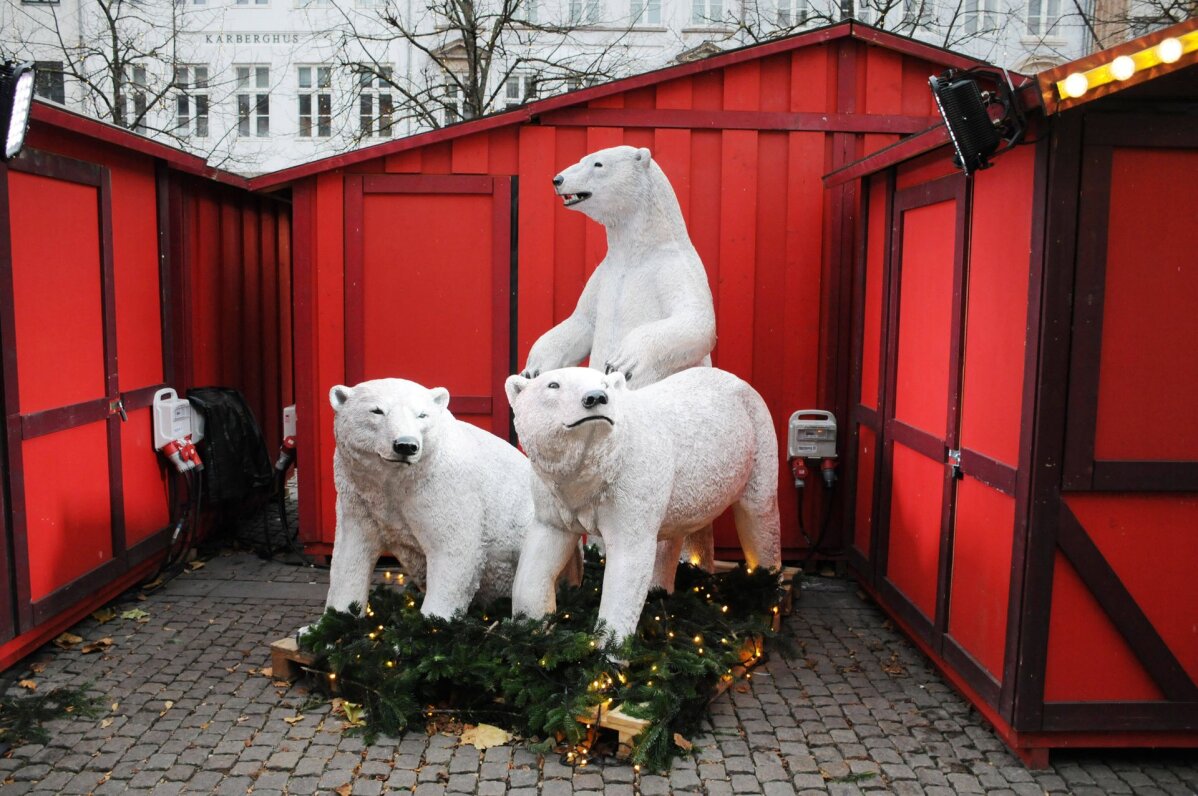 Les ours mettent fin au rallye de Noël sur les marchés