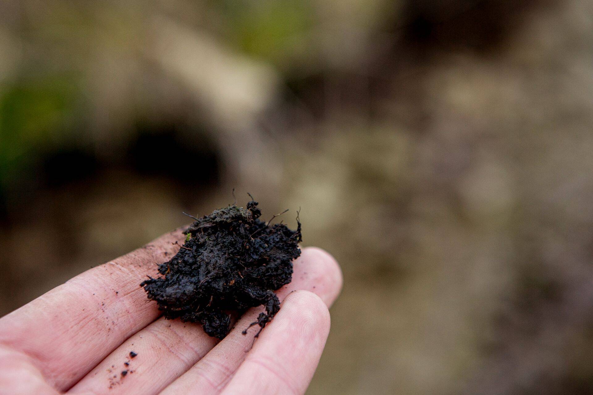 Ühtekokku tuleb eemaldada üle 30 tuhande kuupmeetri reostunud pinnast