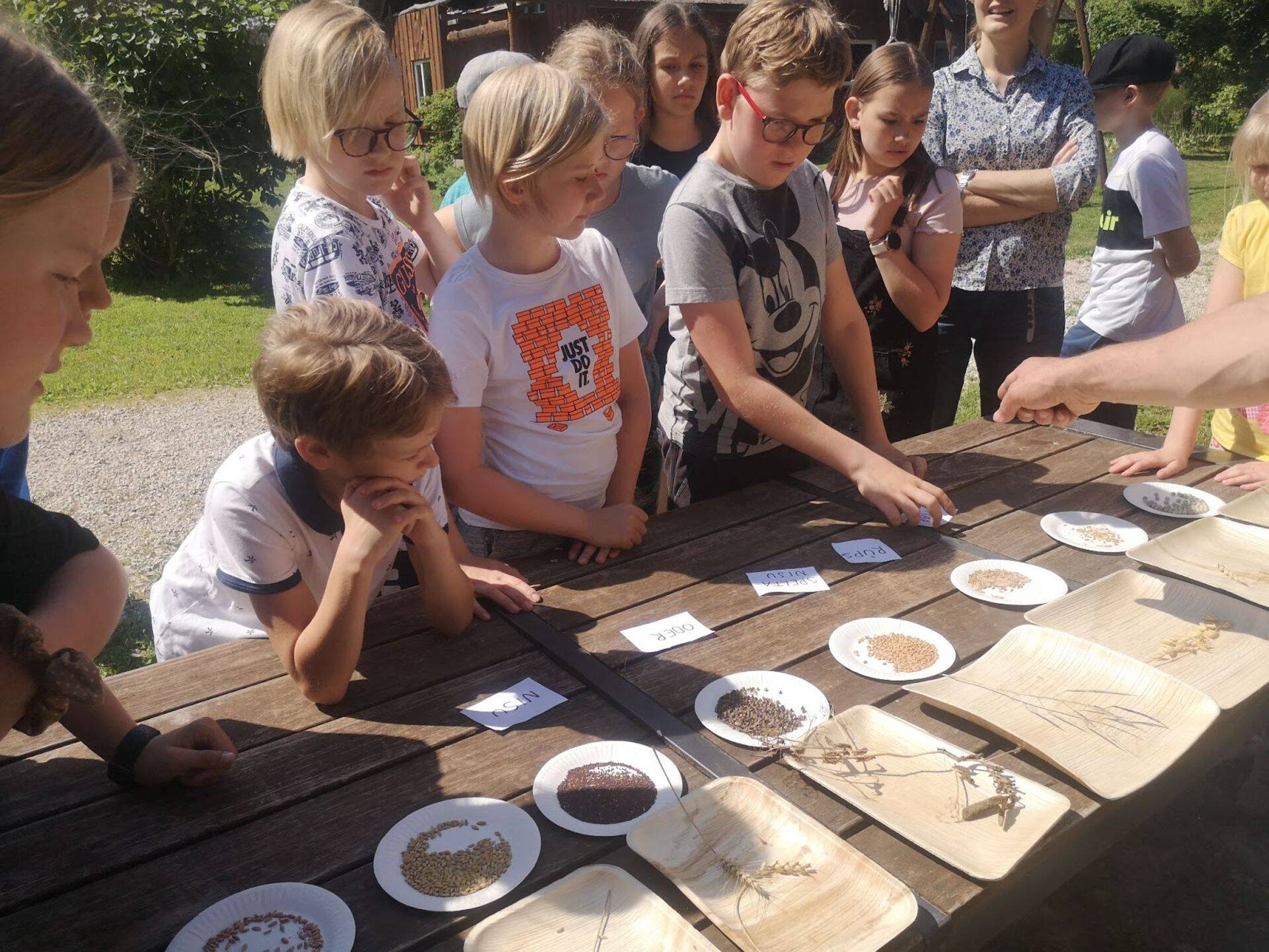 Kooliaasta lõpunädalatel võtsime 1.-4.klassi õpilastega teadlikult ette retked Eesti toidutootjate juurde, et saada mitmekülgne kogemus toidu tootmisest, inimeste pingutusest ja tarkusest, mis selle loomisega kaasneb. Lähemalt tutvuti tervisliku toitumisega seotud toidugruppidega – piim, aedvili, teravili, muna.