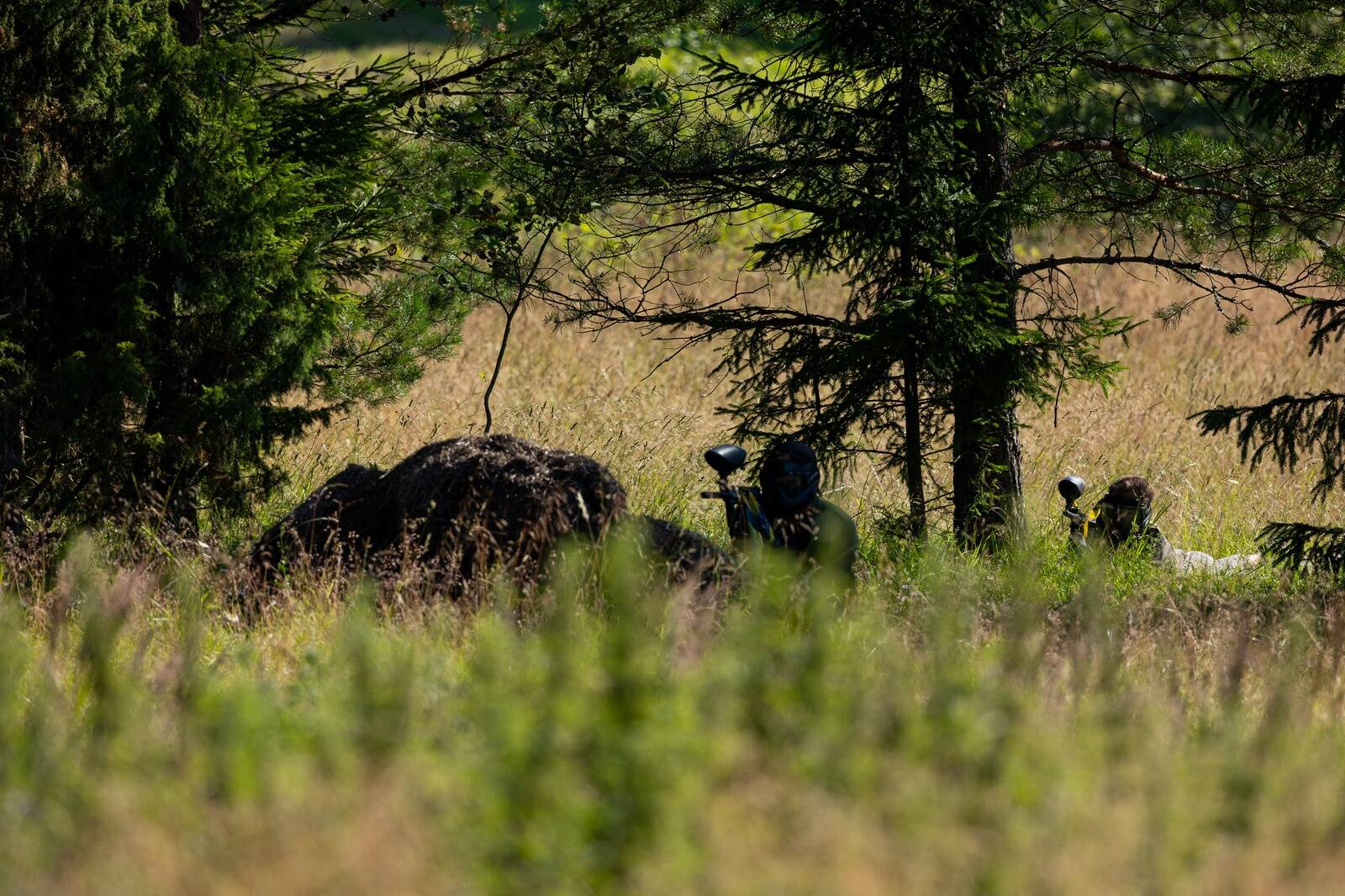 VAATA galeriid Vanaõue Puhkekeskusest, mis pakub võimalust nii tööks kui puhkuseks.
