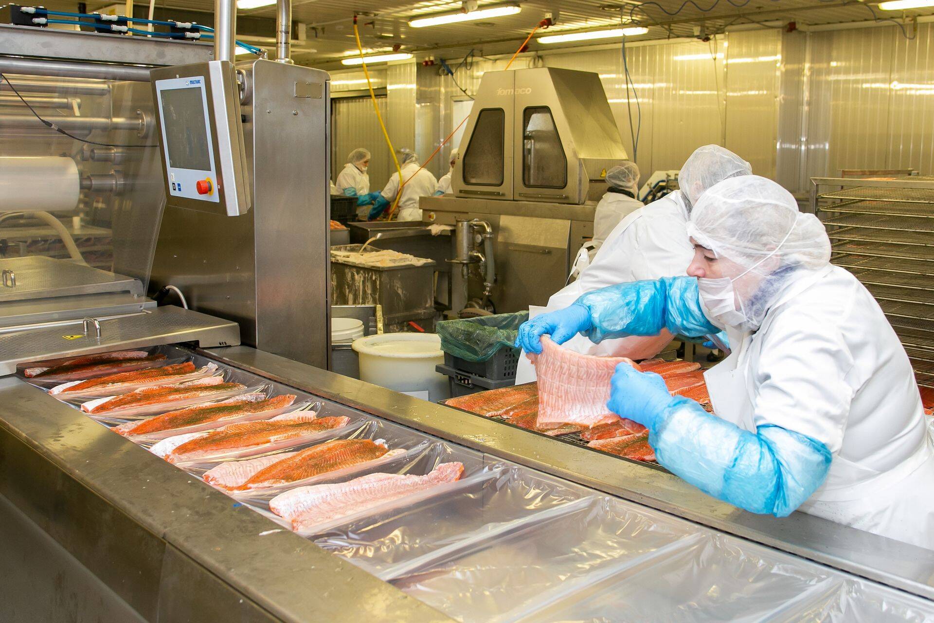 Kõige suurem kasumilangus oli tänavu kalatööstuses.