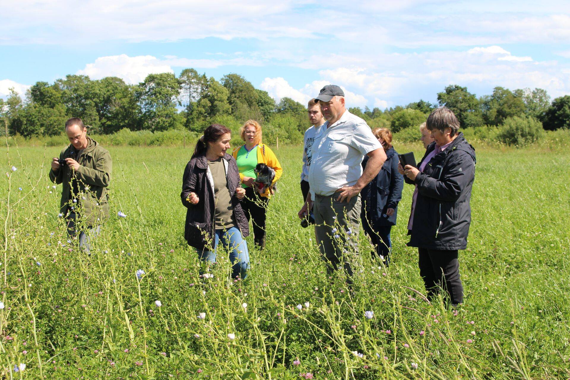 Rohumaaviljeluse ja silotootmise infopäev Puutsa talus. Fotod: Anu Toe