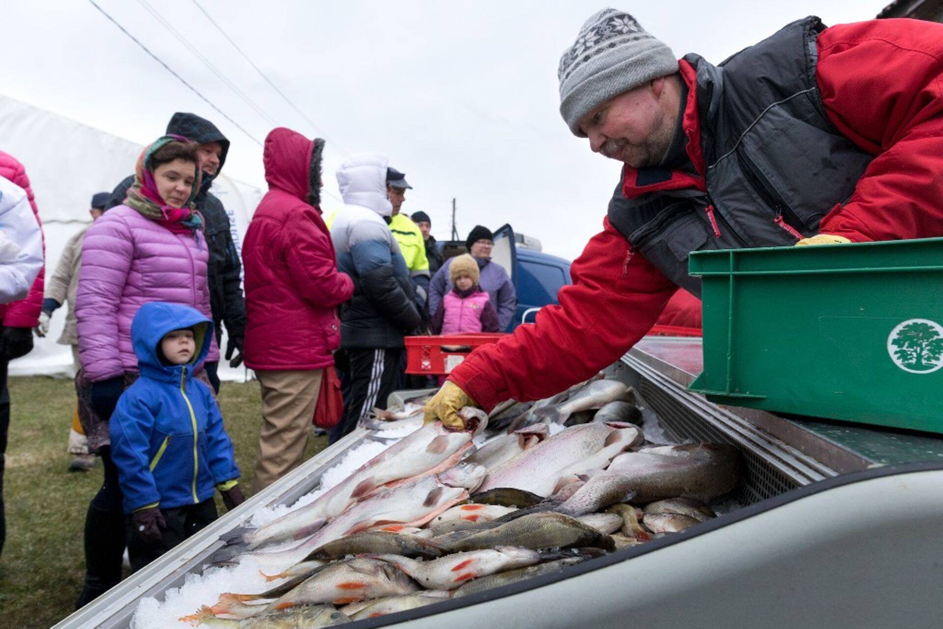 Avatud kalasadamate päev Leppneemes 2017. aastal