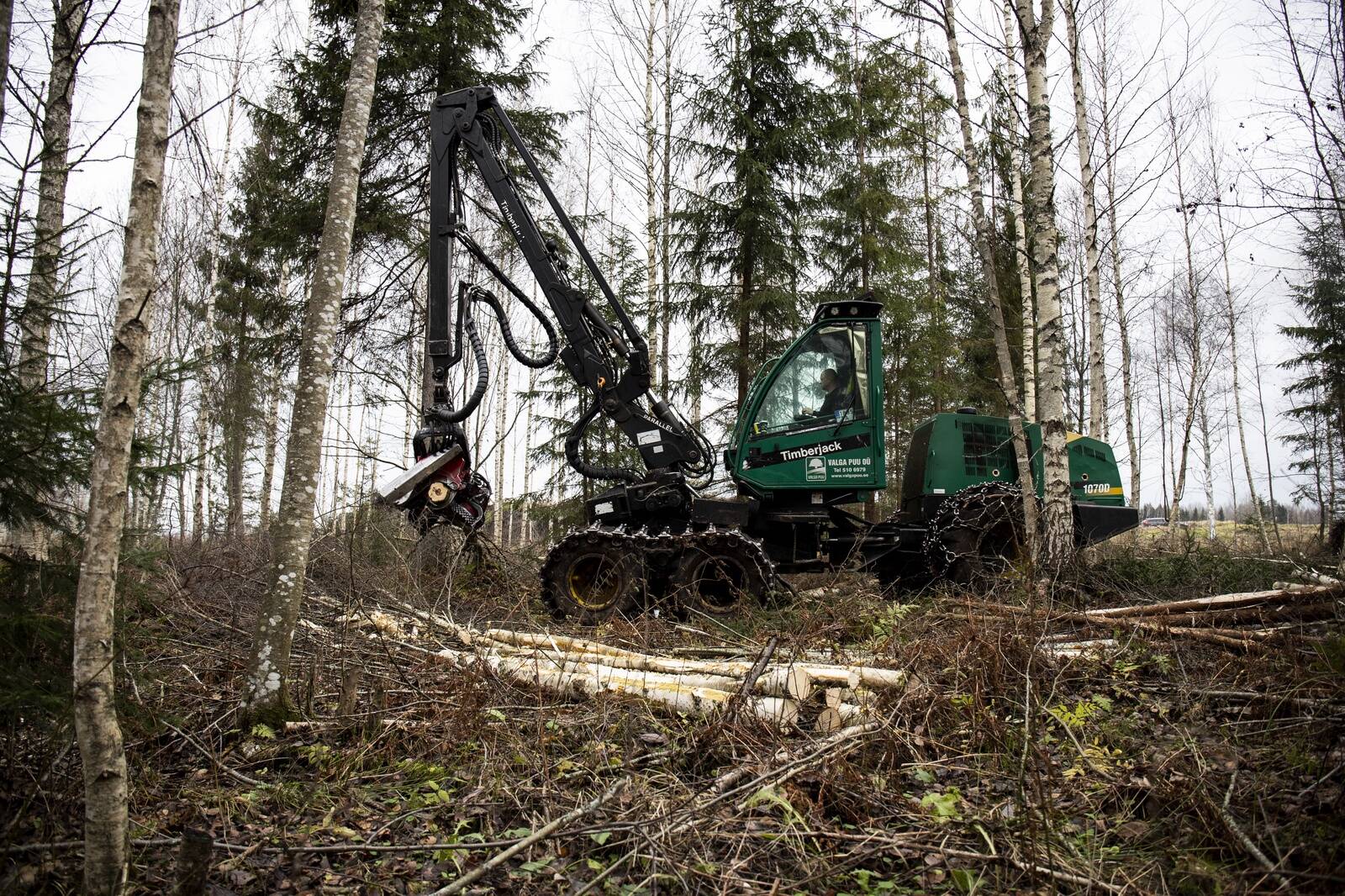Södra valdused Lätis võivad osutuda liiga suureks, et kohalikel metsaomanikel hammas peale hakkaks.