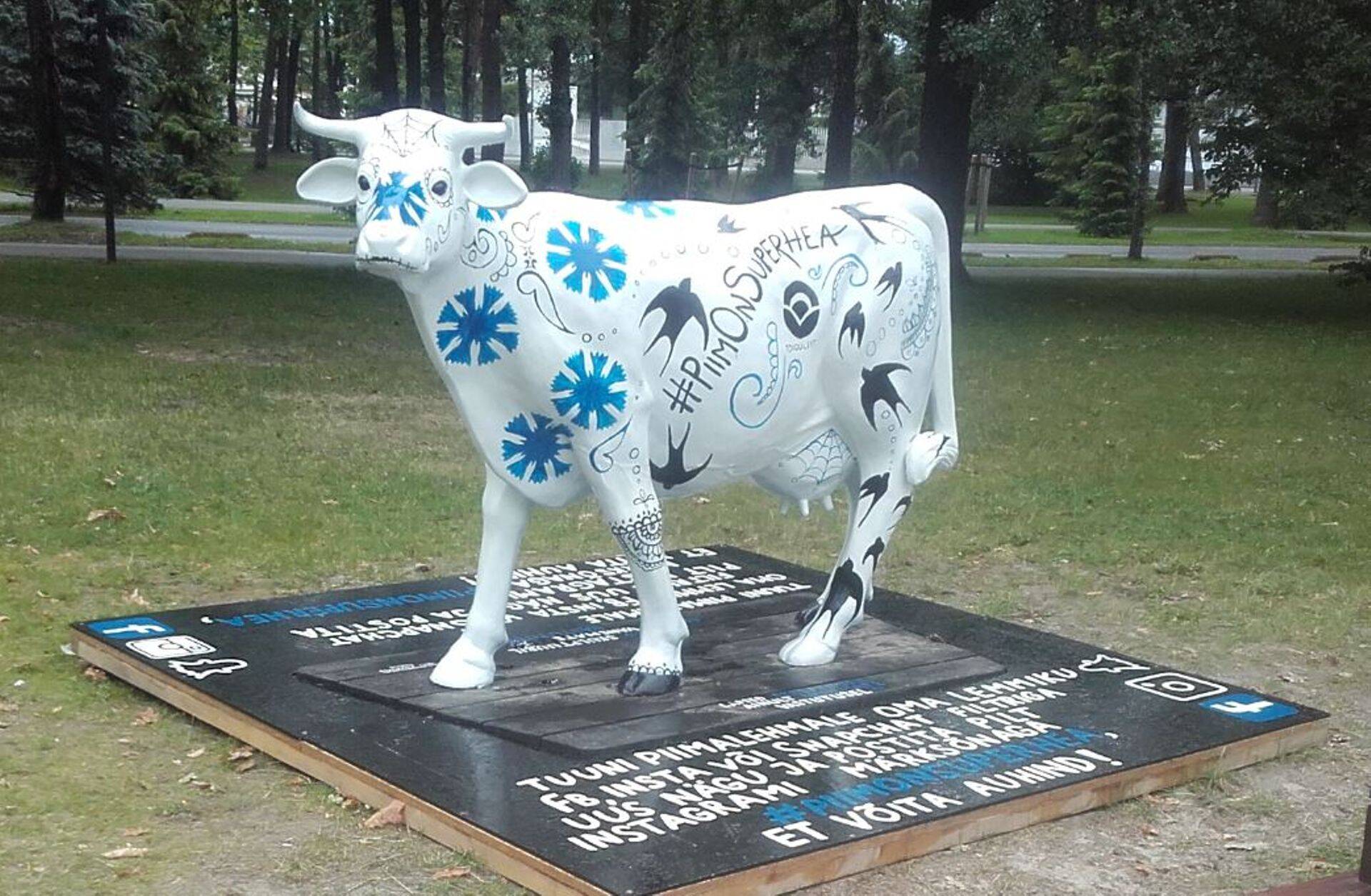 Eesti Vabariik 100 temaatiline piimalehm alustab Eesti ringreisi