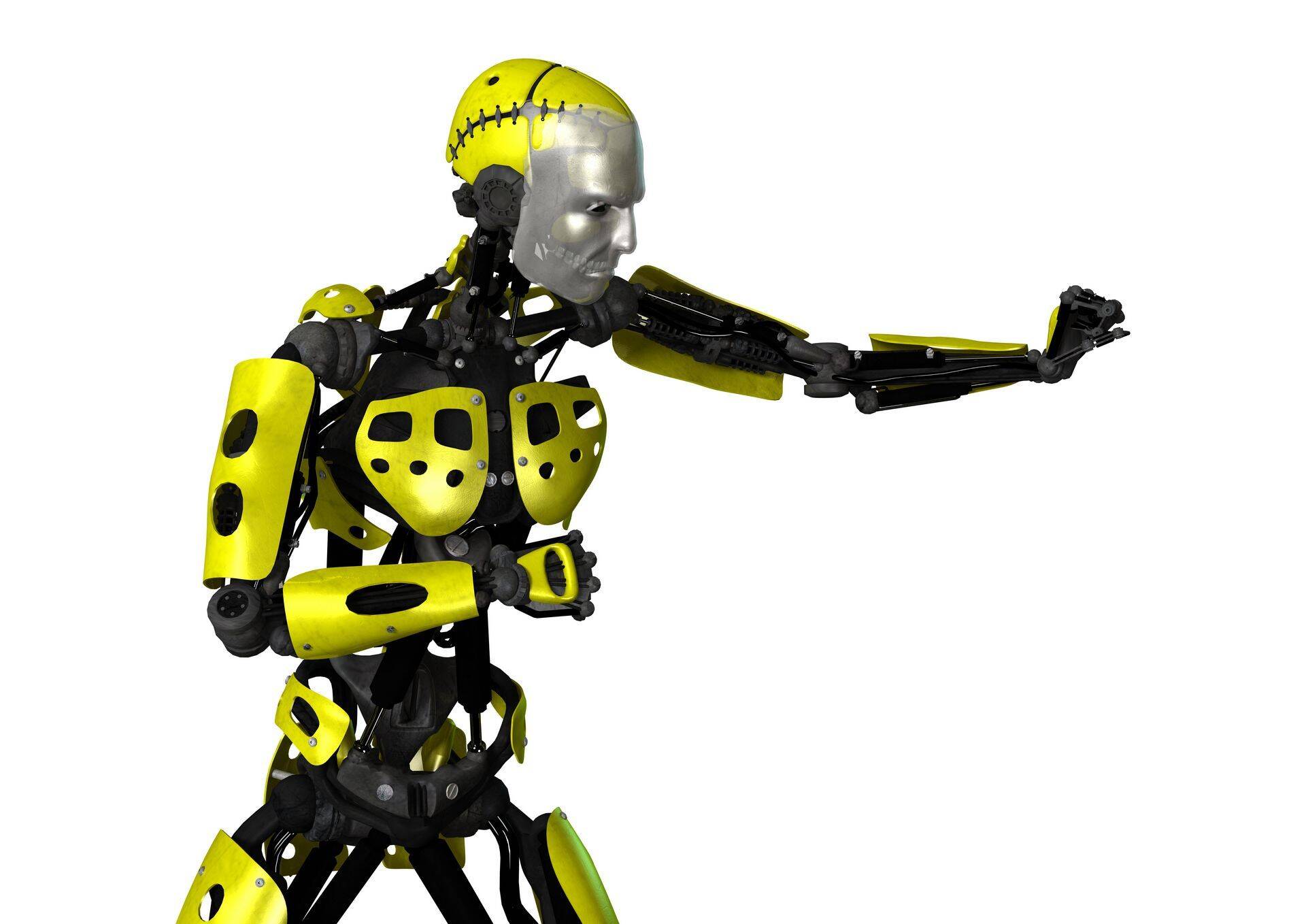 Robot
