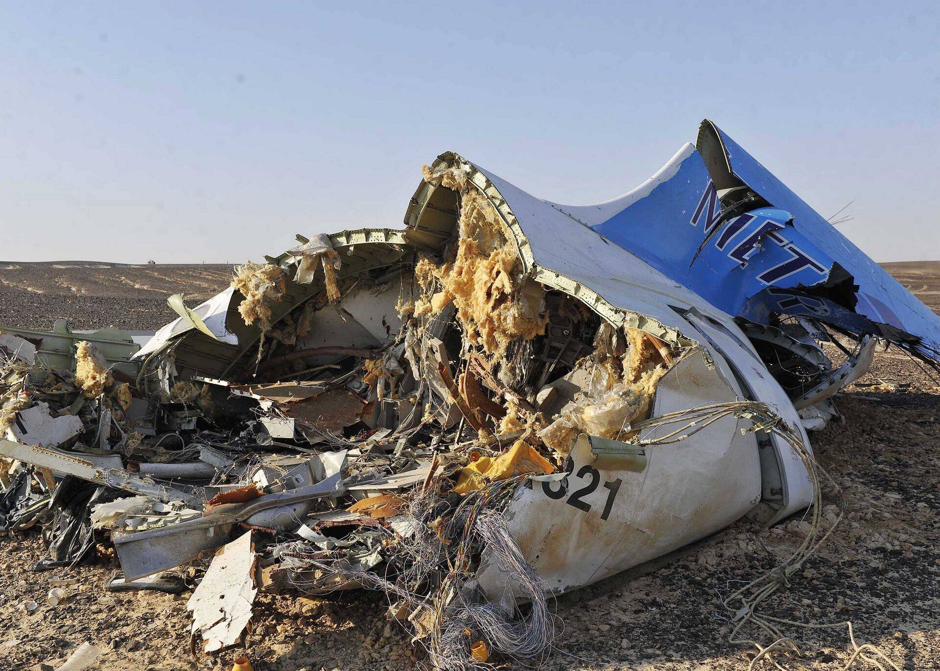 31. oktoobril kukkus Egiptuses Siinai poolsaarel alla Vene lennufirma Kogalõmavia/Metrojet lennuk, mis võttis 224 inimese elu.