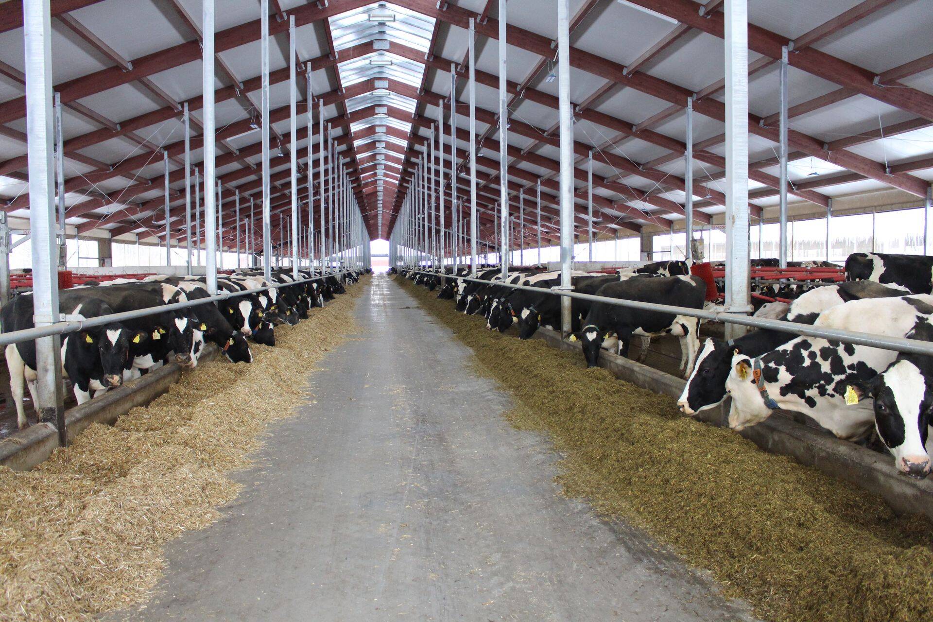 Väätsa Agro uus farmihoone.