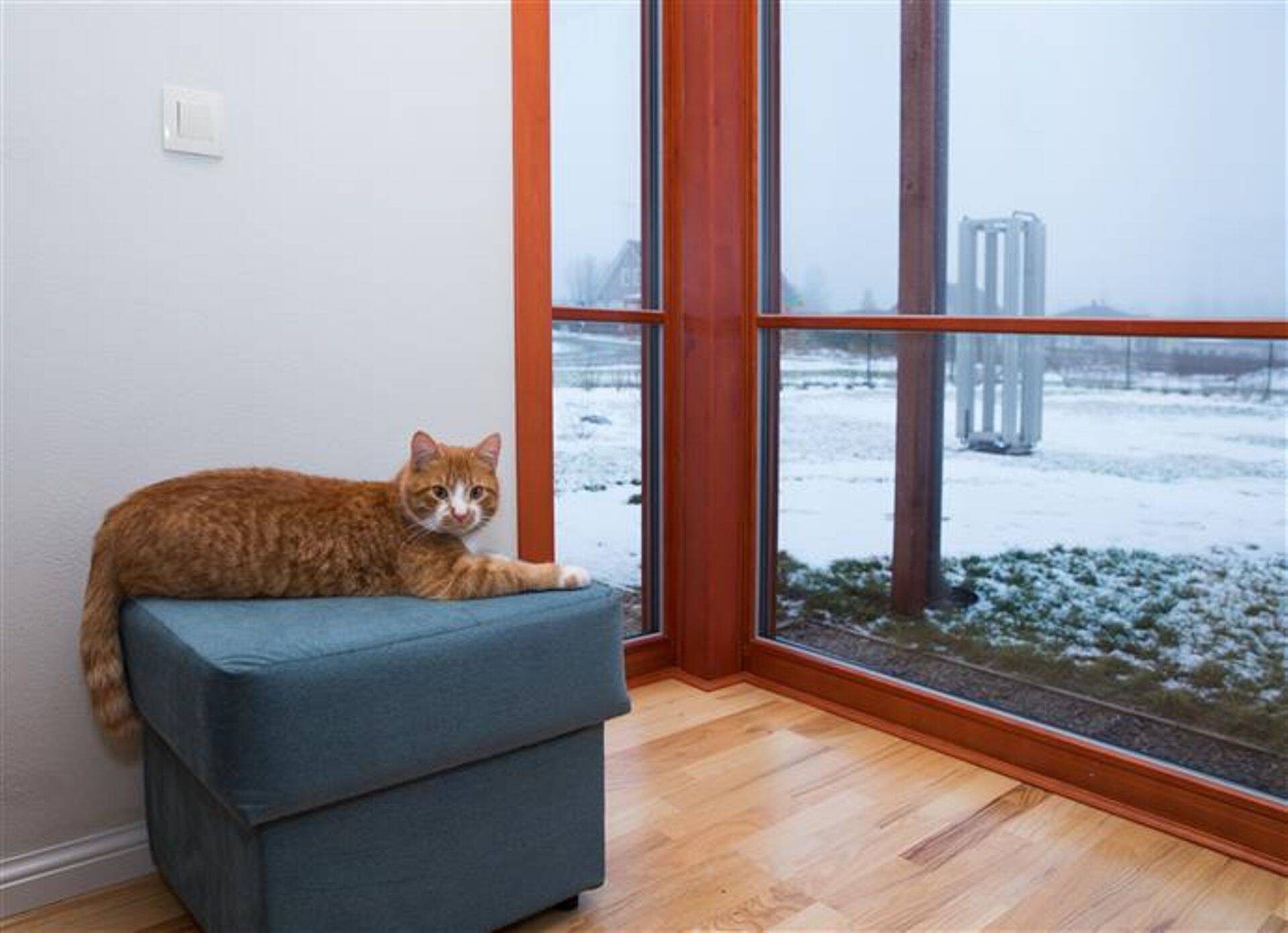 Maja lõunapoolsel küljel on suured kolmekordse klaasiga aknad päikeseenergia maksimaalseks ärakasutamiseks