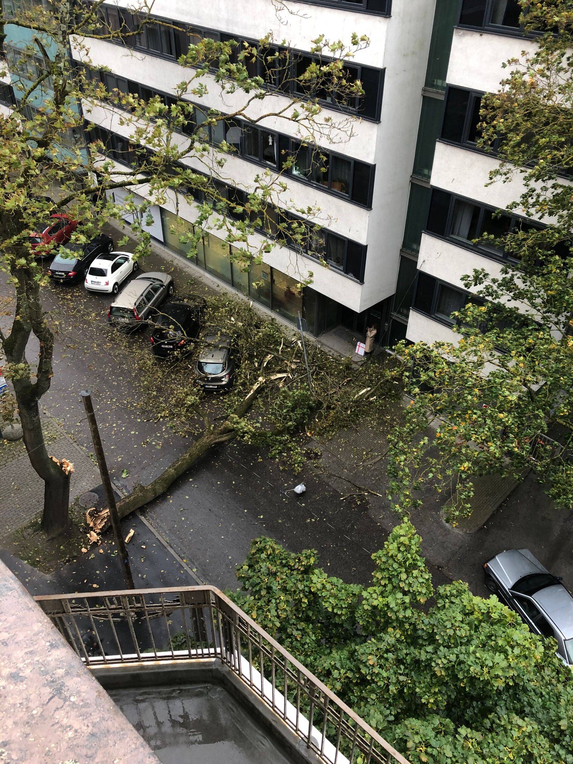 Иллюстративное изображение