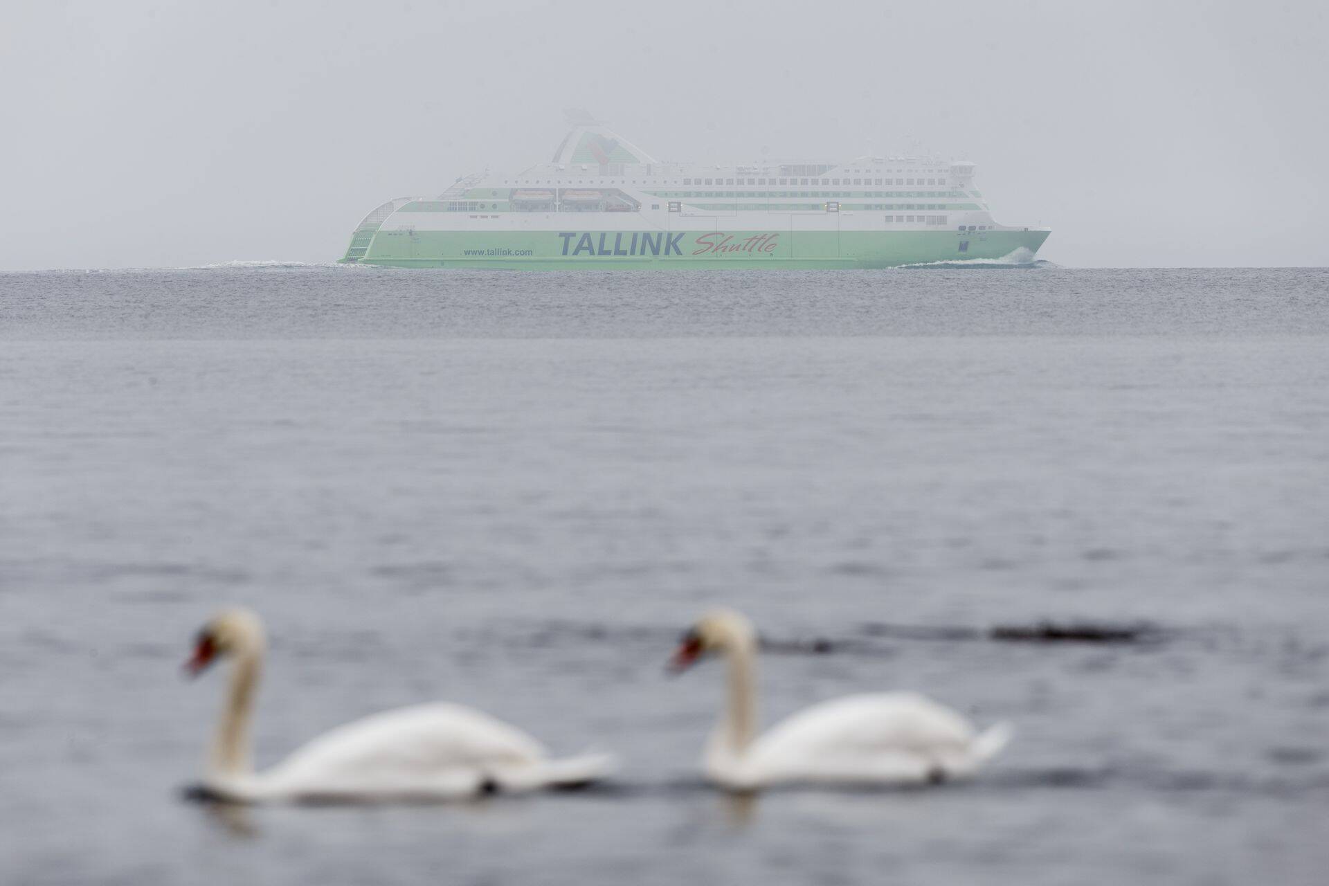 Tallink