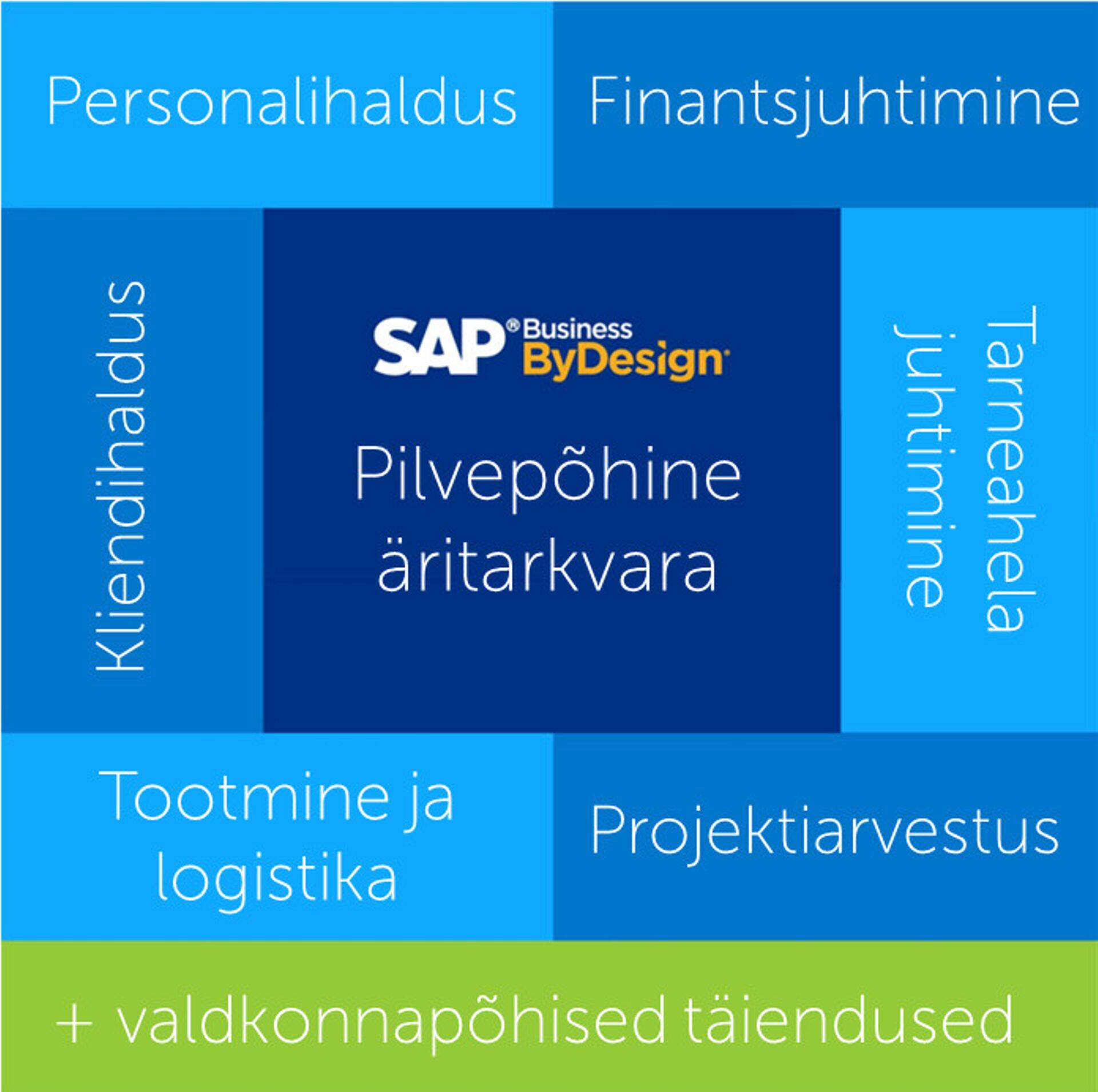 Innovaatiline tarkvara SAP Business ByDesign hõlmab kõiki ettevõtte tegevuseks vajalikke peamisi valdkondi.