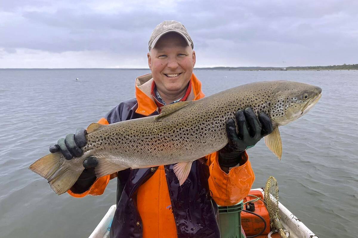 Korralik meriforell valmistab samavõrd rõõmu nii harrastuskalastajale kui kutselisele kalurile!