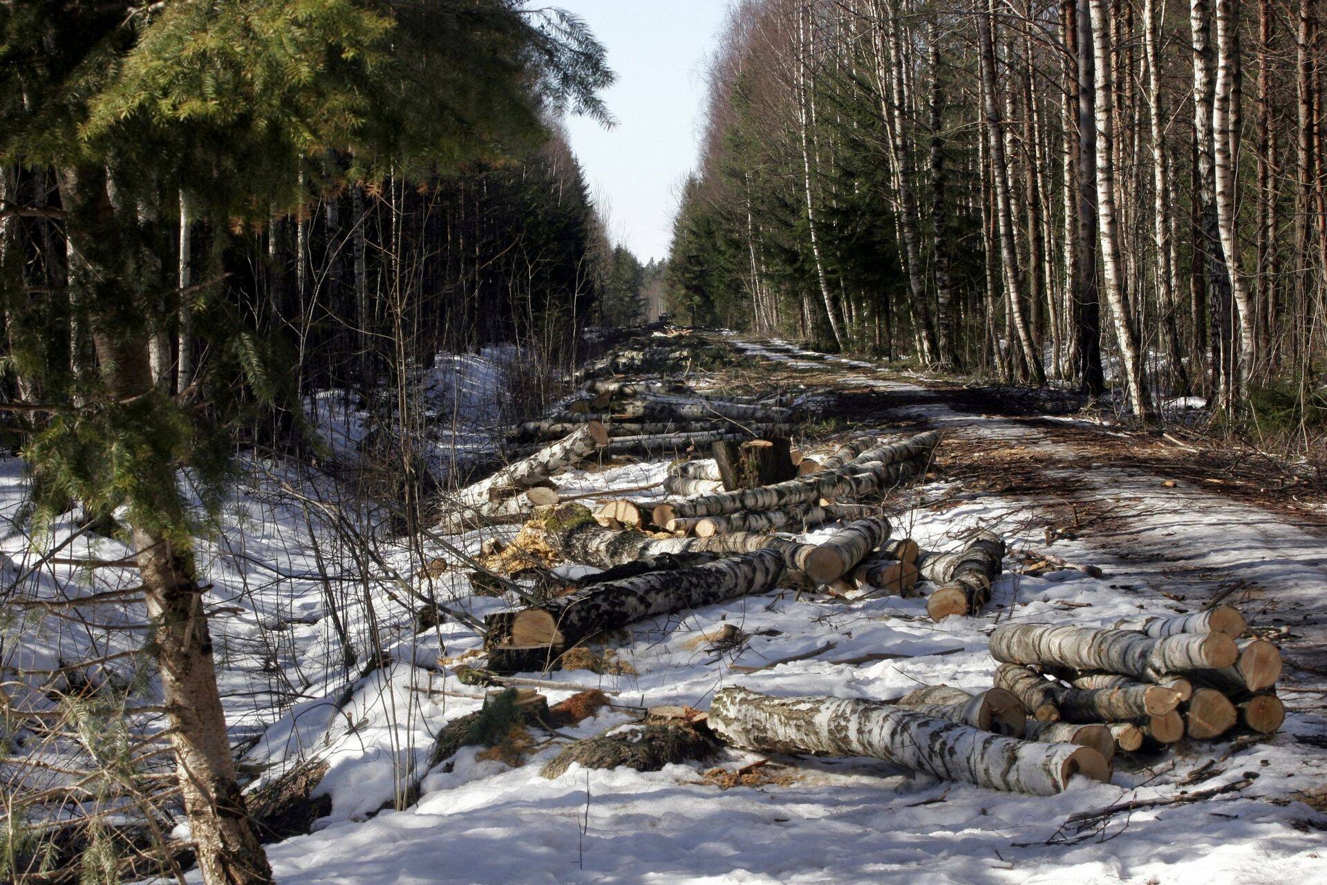 Muudetakse maaparanduse investeeringutoetuse tingimusi