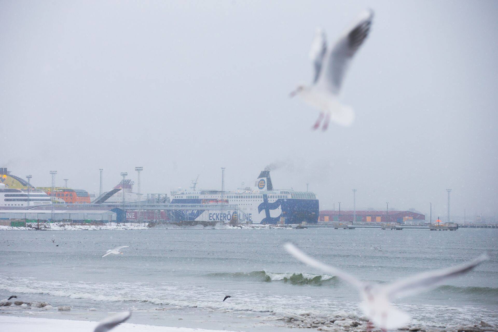 Eckerö Line'i laev Finlandia