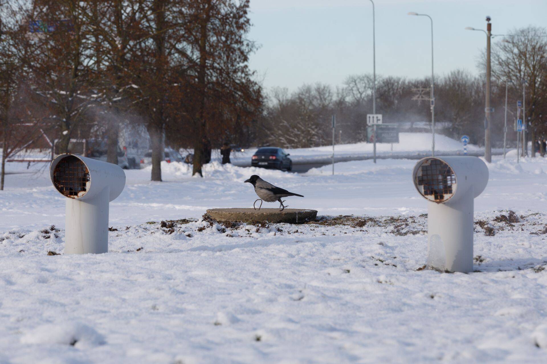 Tööstused tahavad lisaks gaasile kütta talvel ka diisliga.