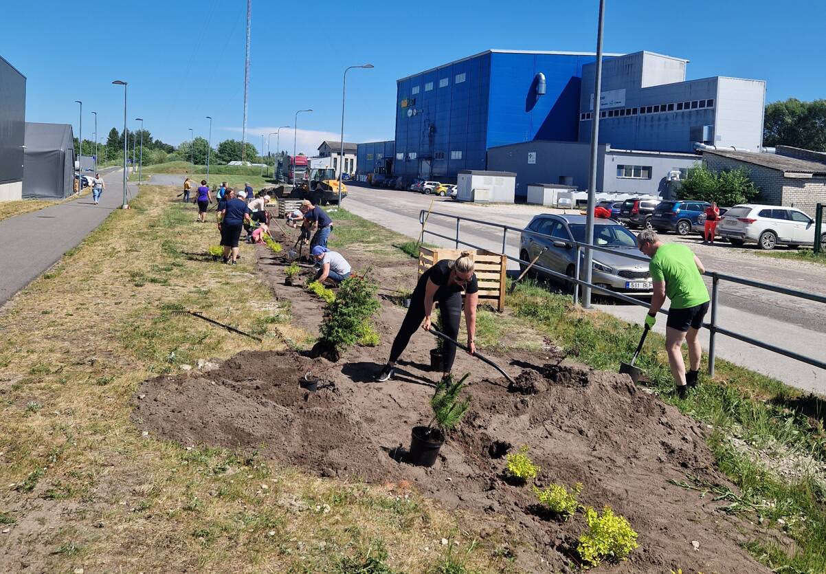 Dagöplast peab oluliseks keskkonnast ning kogukonnast hoolivat tegevust ning panustab lisaks läbimõeldud tootmisele keskkonda ka näiteks talgutega ja ise rohelust juurde luues.