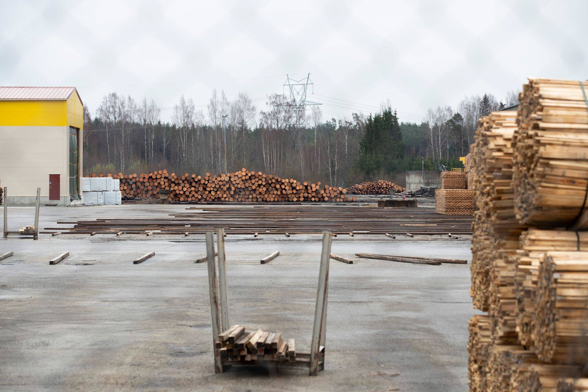 Baltic Foresti Paikuse saeveski.