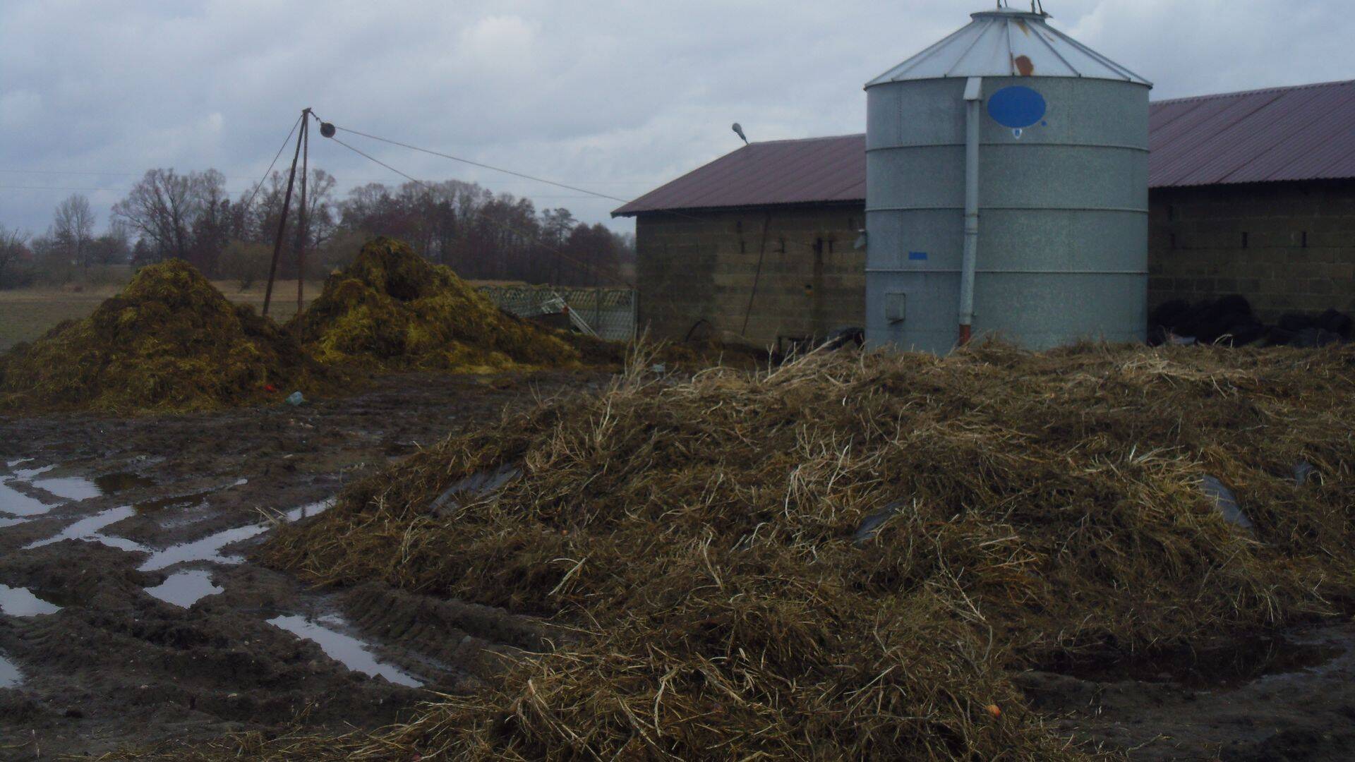 49 korda rikuti eelmisel aastal veeseaduse nõudeid põllumajandussektoris