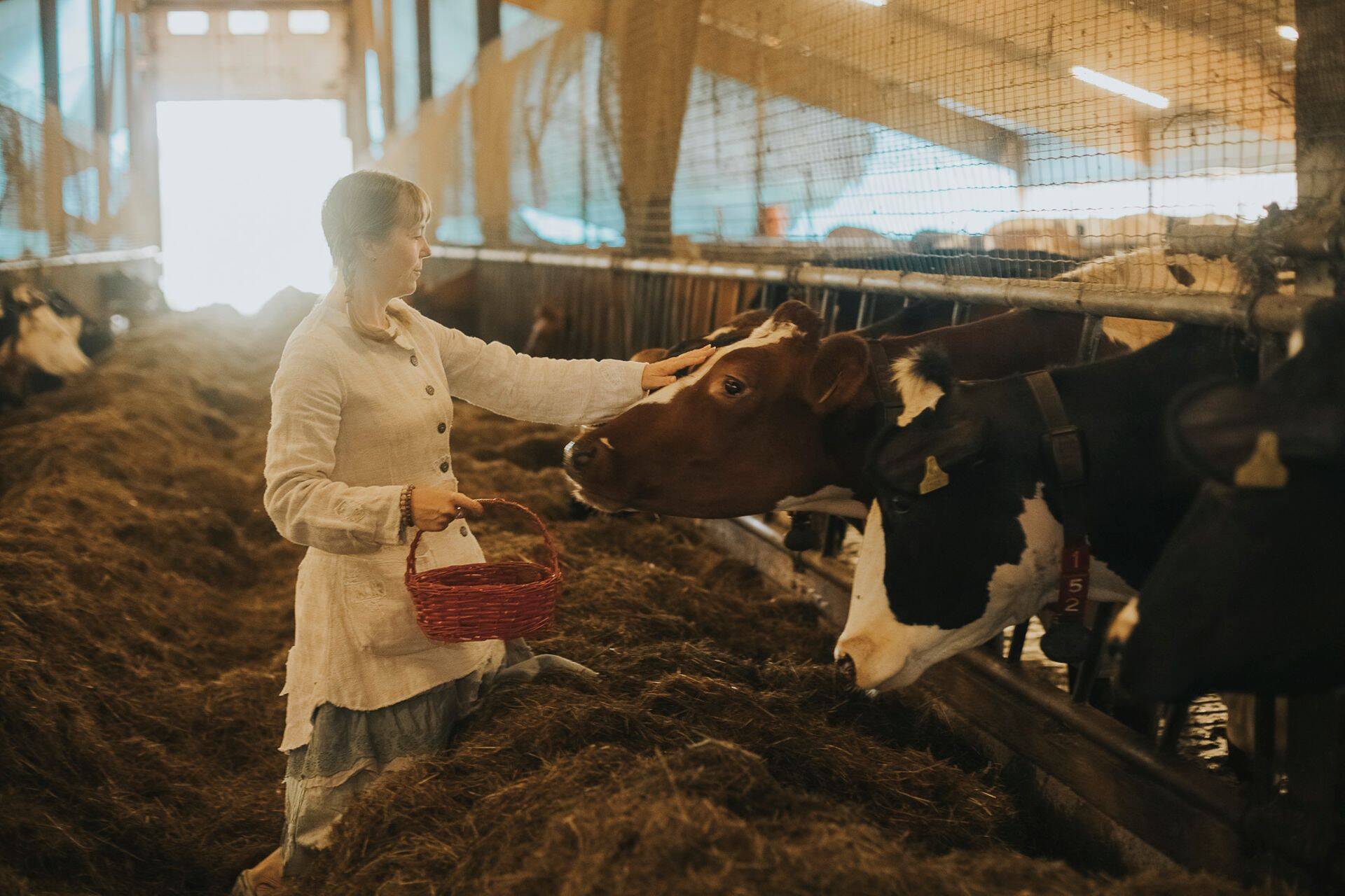 Agroturismi ettevõtted saavad huvilistele tutvustada oma tootmist.