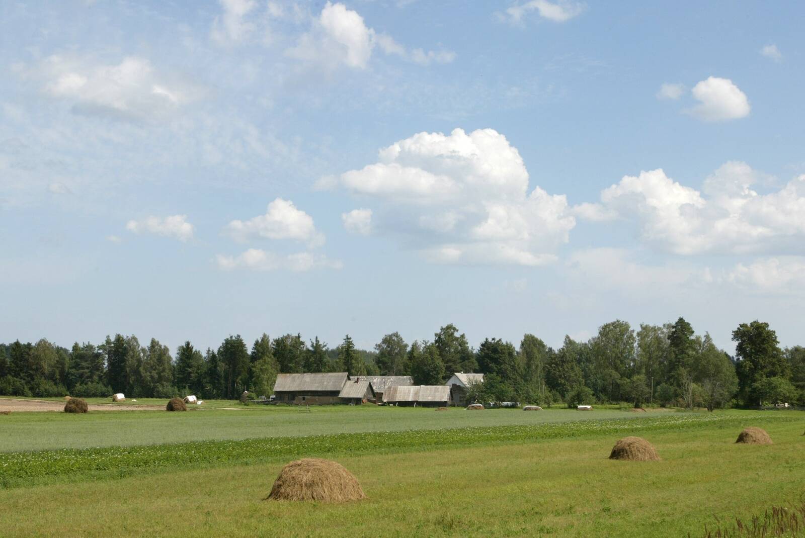 See pilt siin on vaid illustreeriv, ent atmosfäär on ehe ja väärikas.