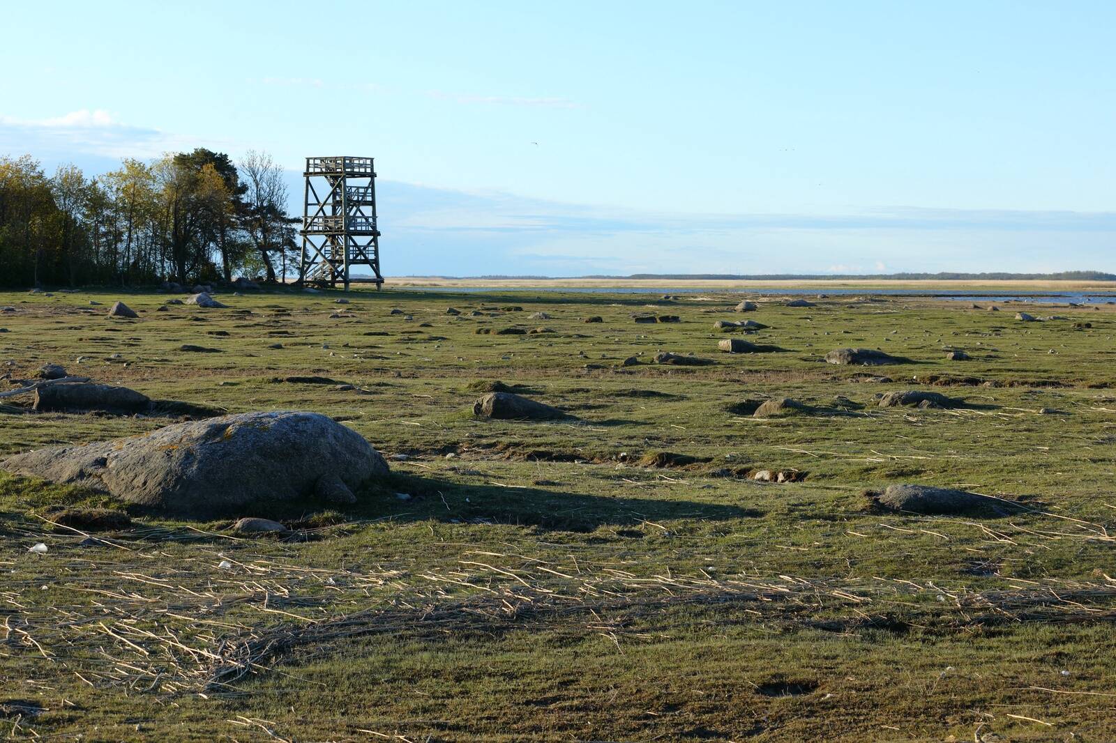 Karjatatav rannaniit Haeskas.