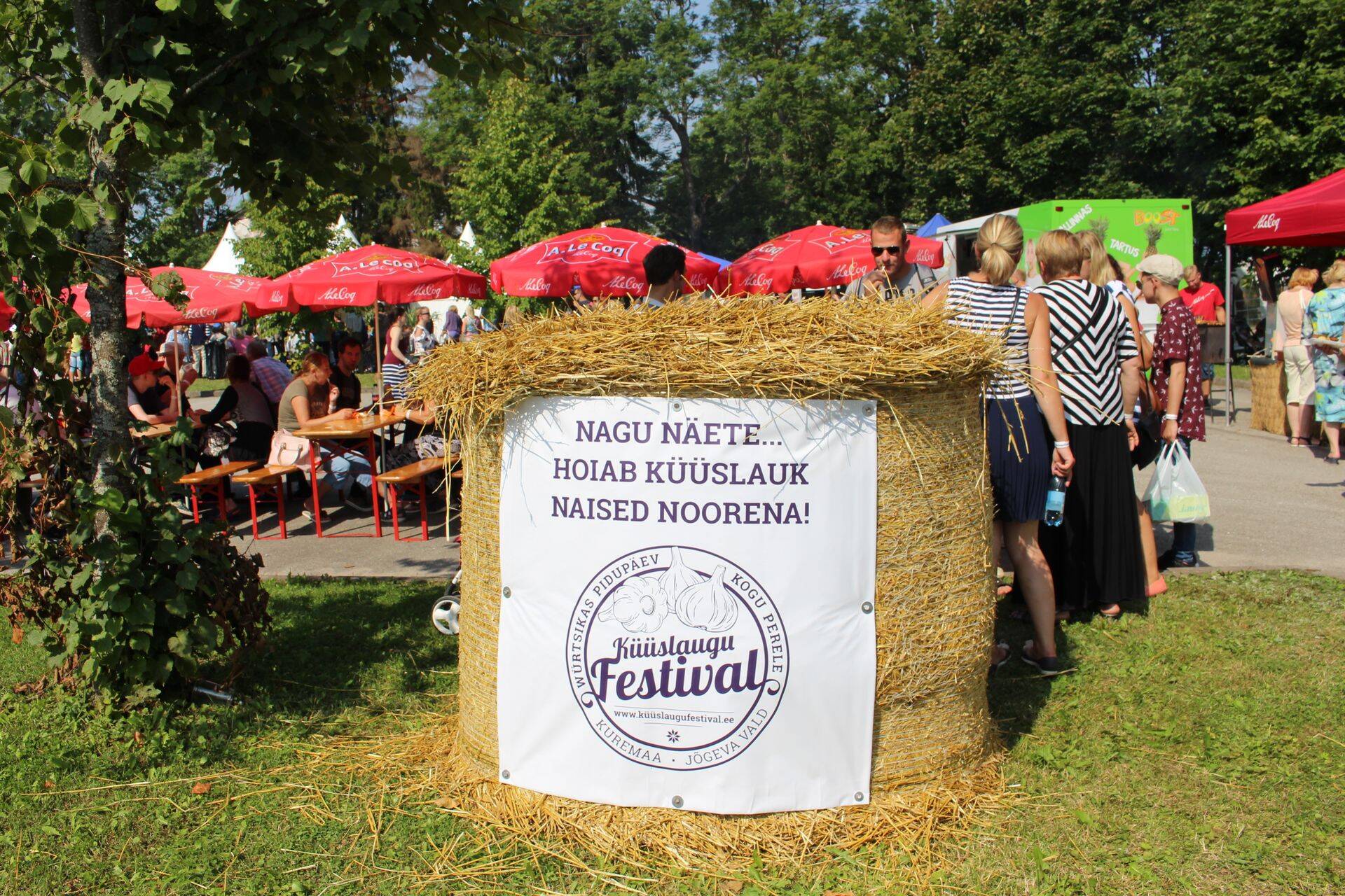 Küüslaugufestival Kuremaal