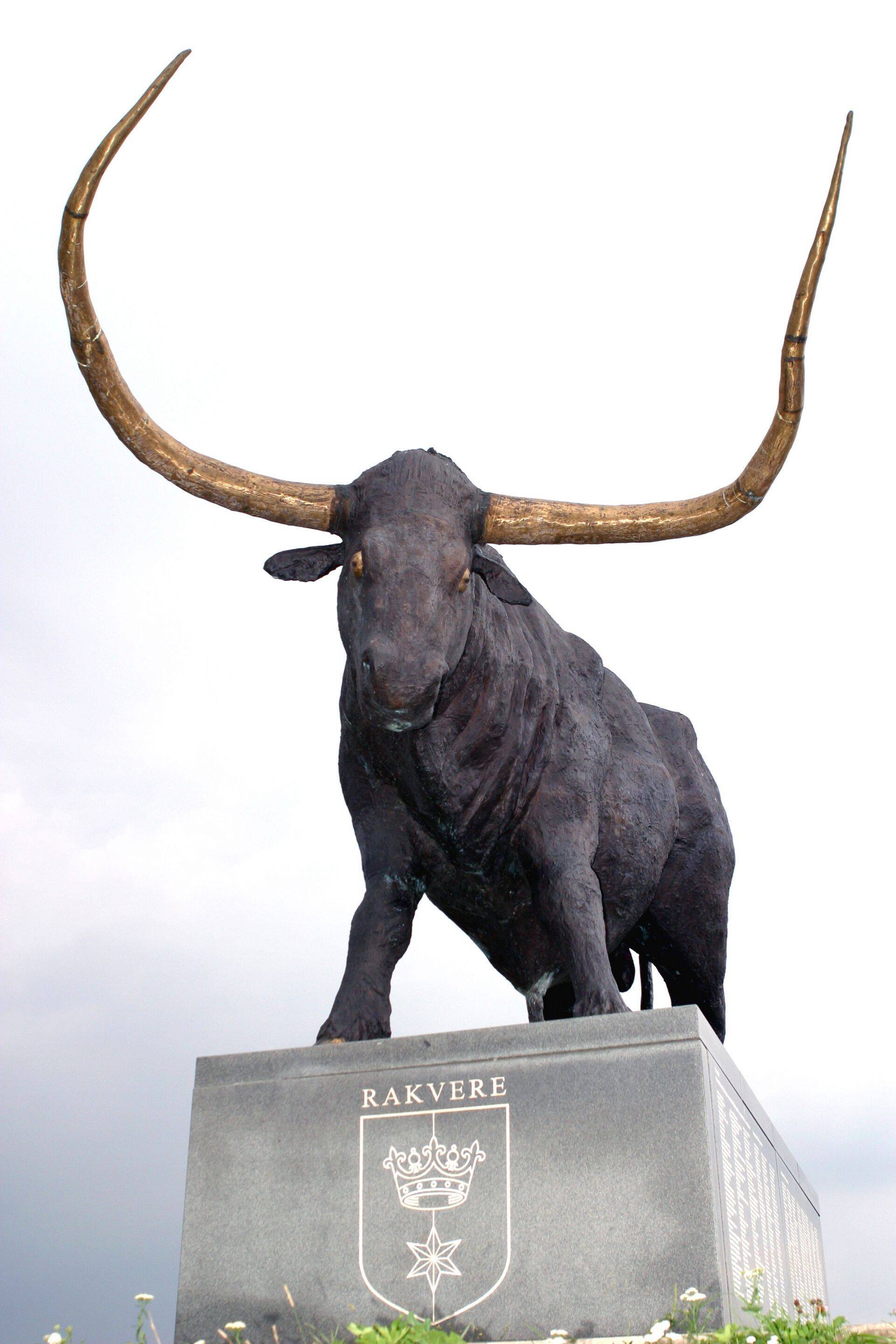 Kui turiste tervitab tarvas uhke vaatega linnusekünkalt, siis koduotsijatel on Rakveres vaja vallutada üsna kõrget hinnatippu.