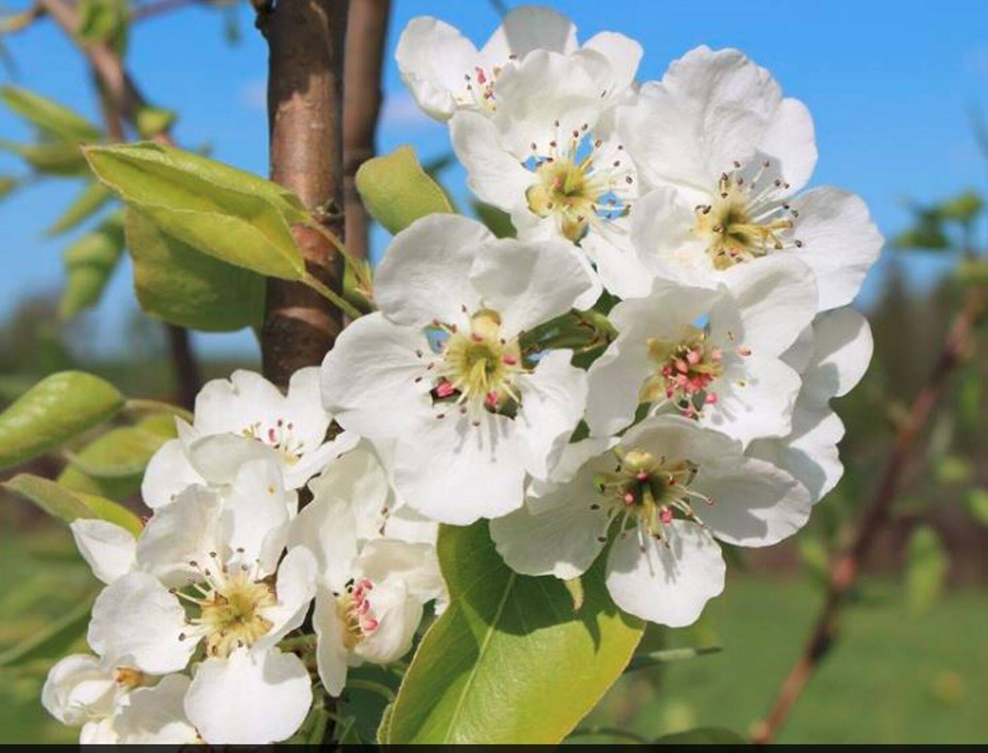 Aiandusliit kutsub konverentsile