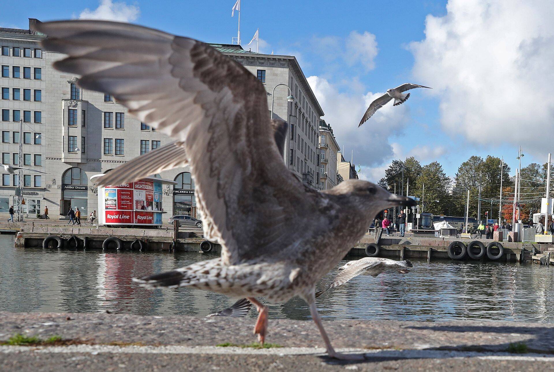 Helsingi.