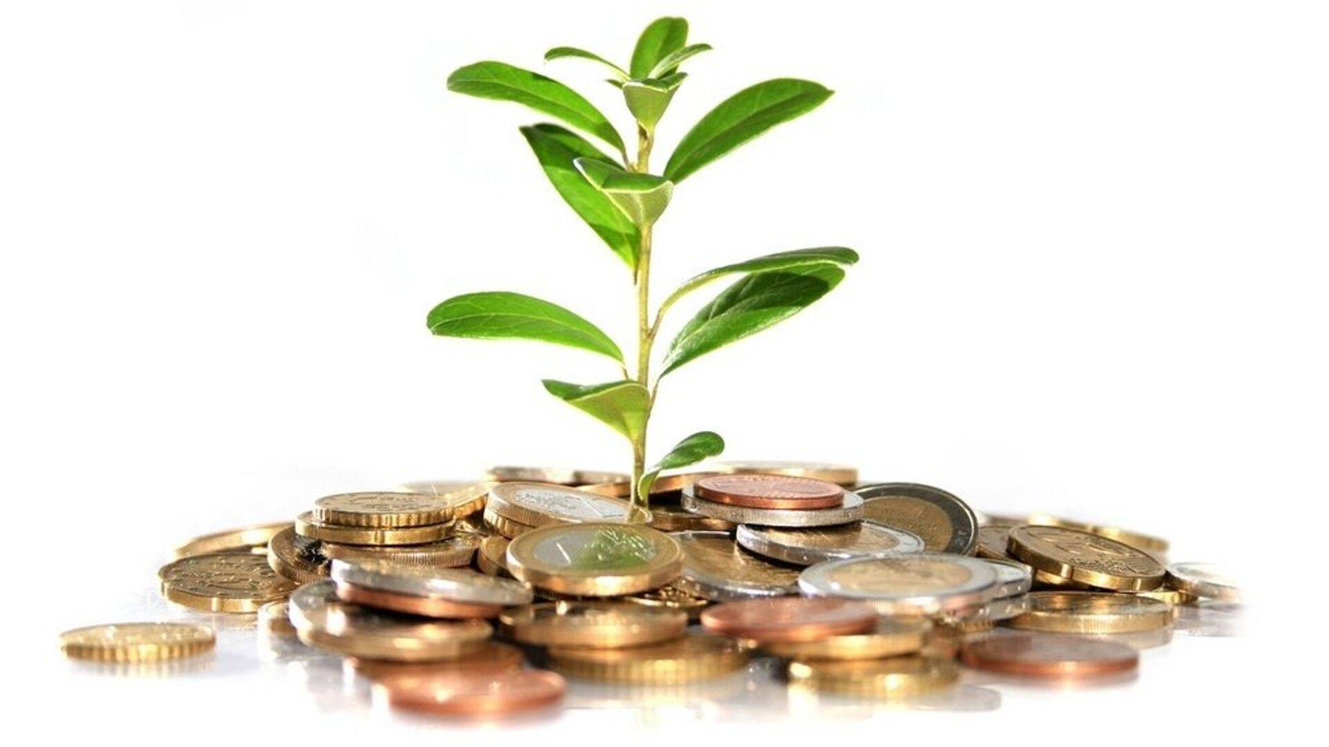 Инвестируй с умом