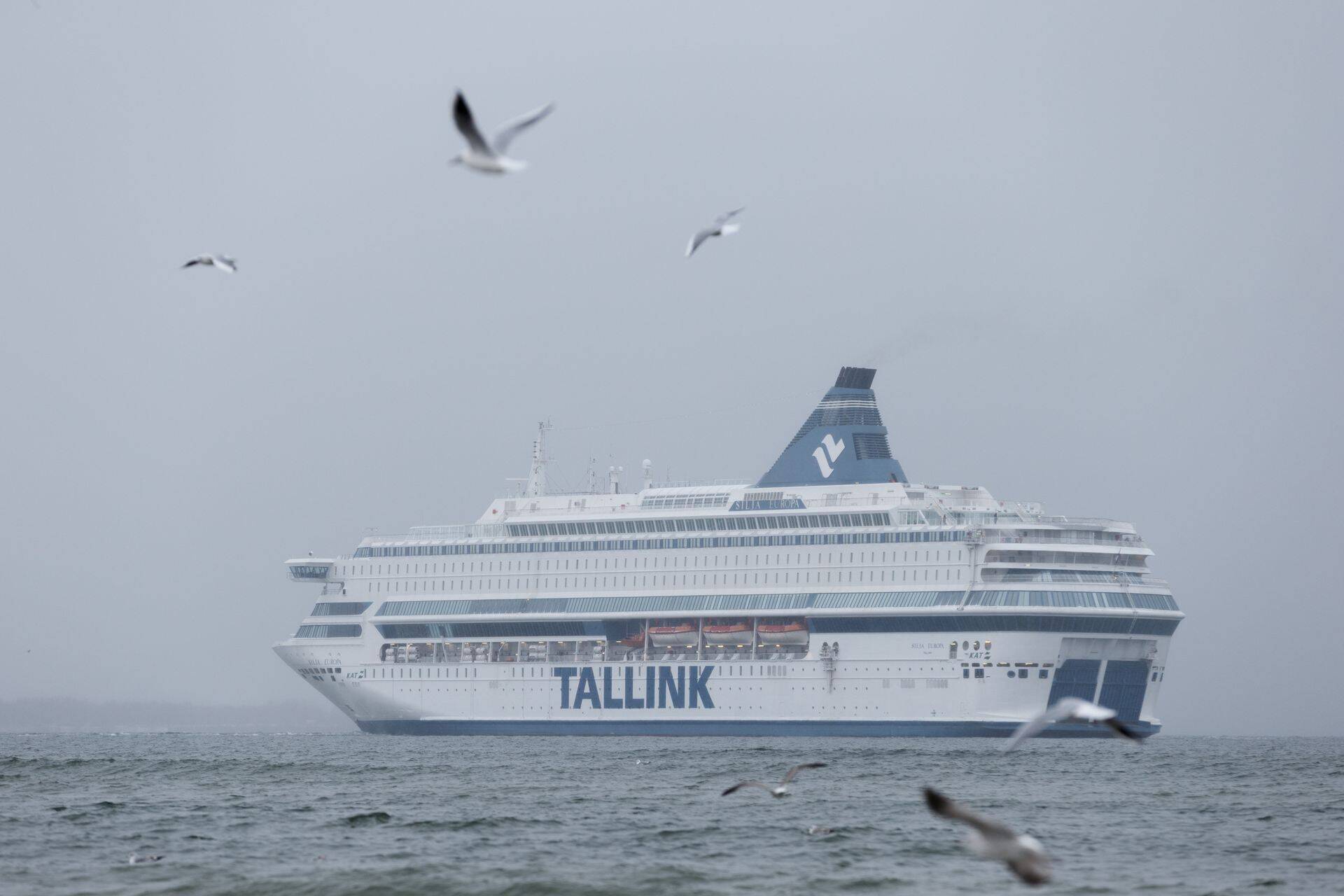 Tallinki aktsiaid on viimase nädala jooksul ostnud märkimisväärselt kokku Nordea panga kliendid.