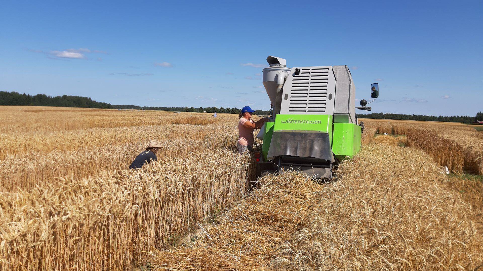 Saagikoristus ETKIs.