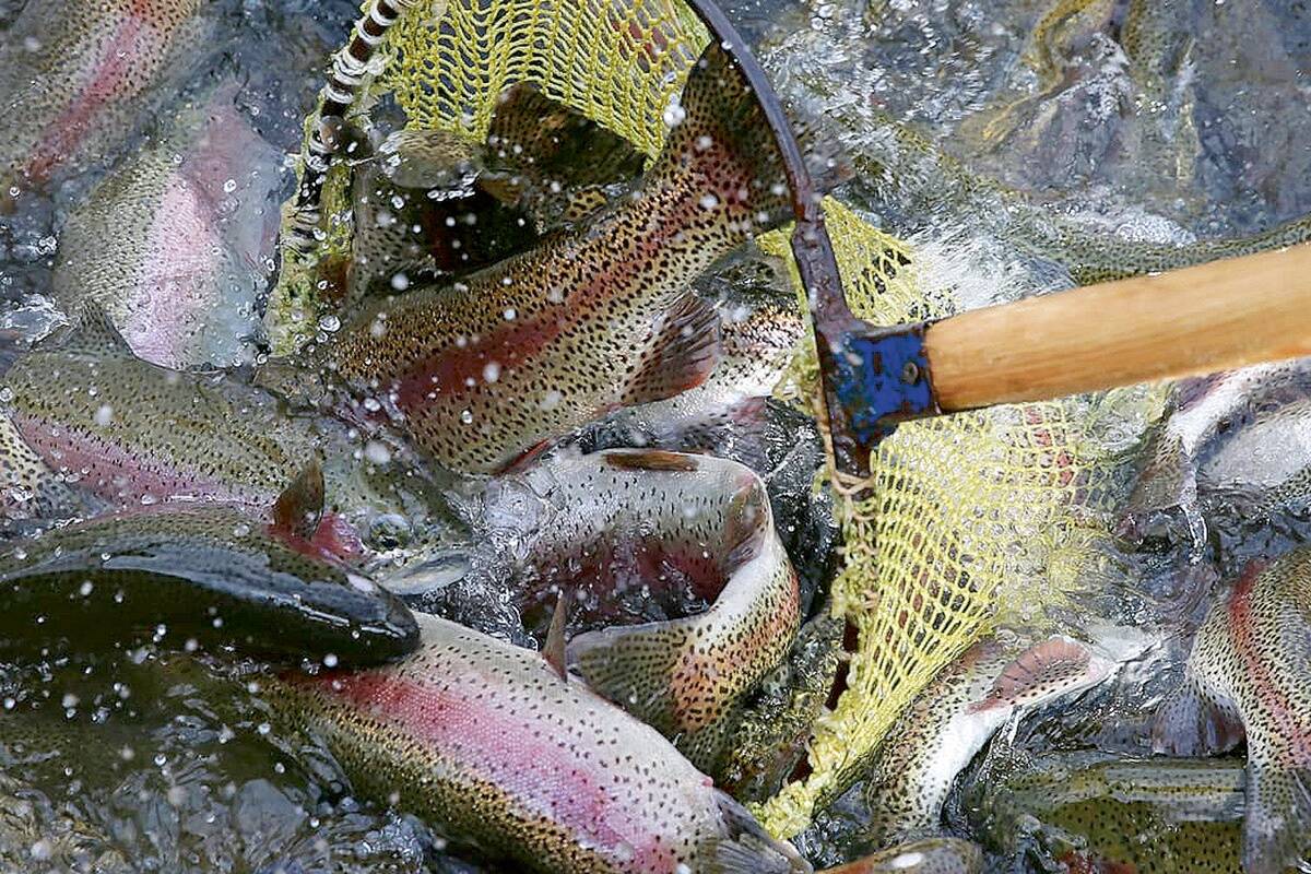 Sel aastal avab külastajatele uksed ka üheksa kalandusettevõtet.