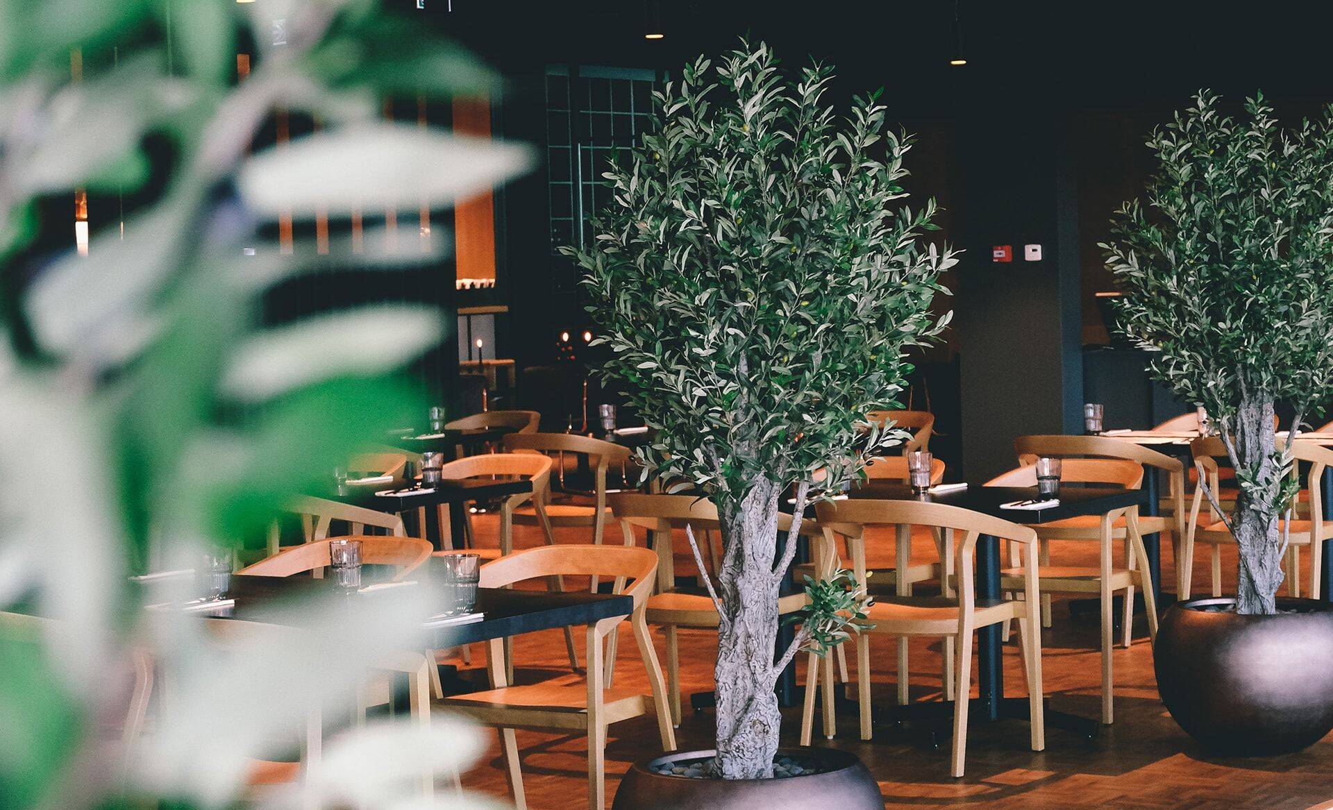 Umberto on Itaalia restoran Pärnus.