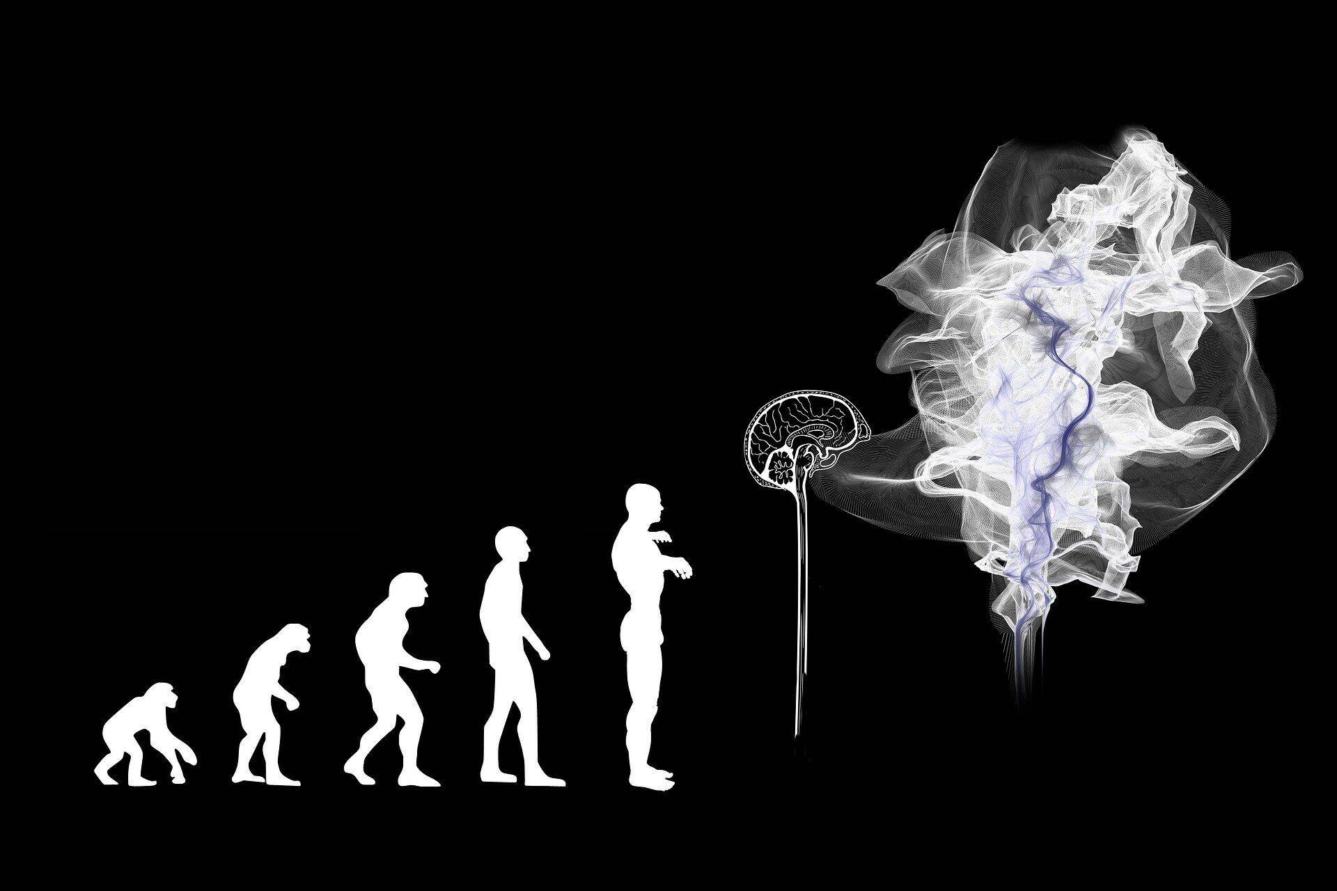 Программы OpenAI умеют вести диалог, придумывать истории и писать эссе, а также рисовать картины.