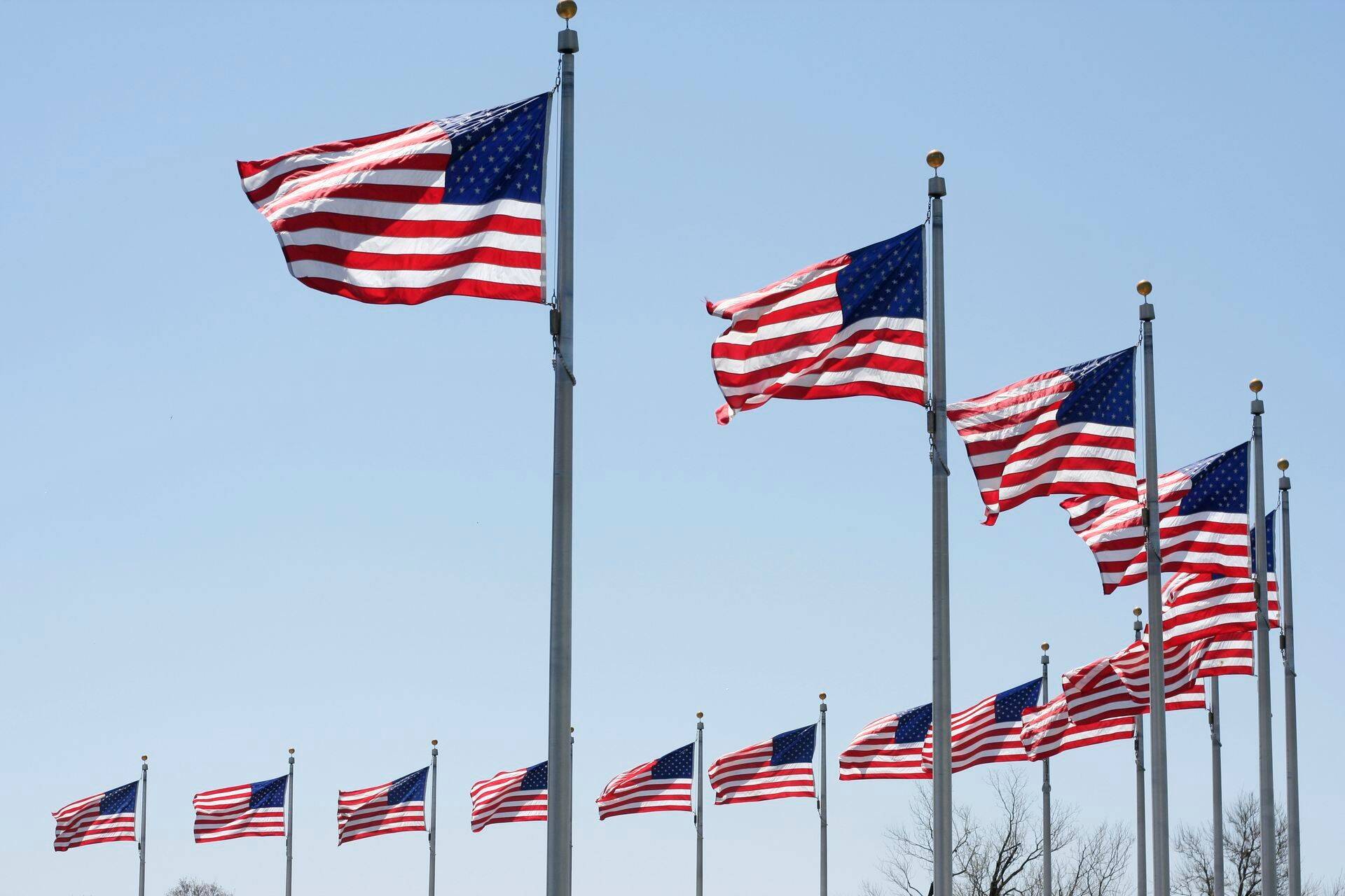 USA lipud