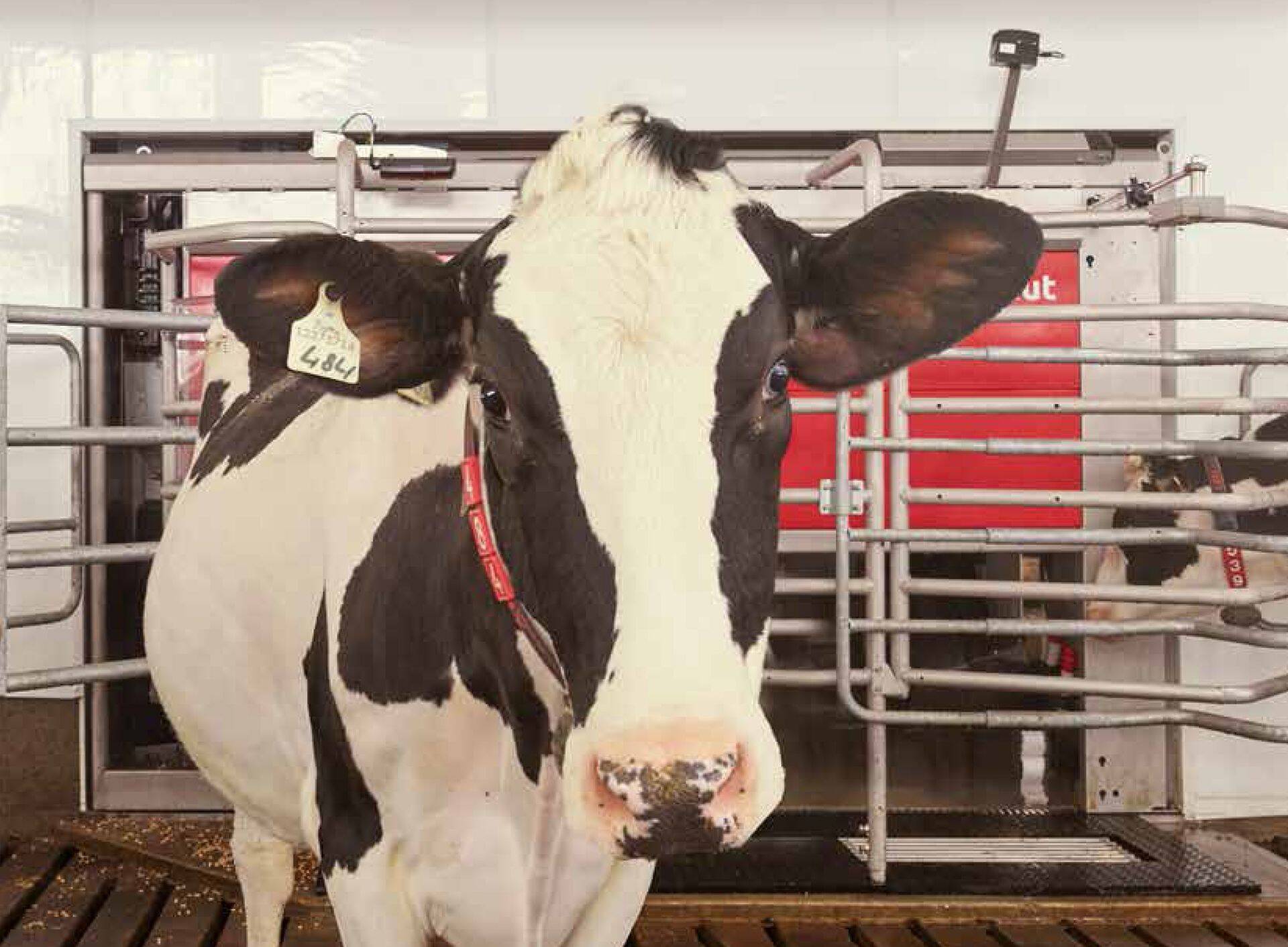 Lely Astronaut_A5_Solutions Early_2018_EE