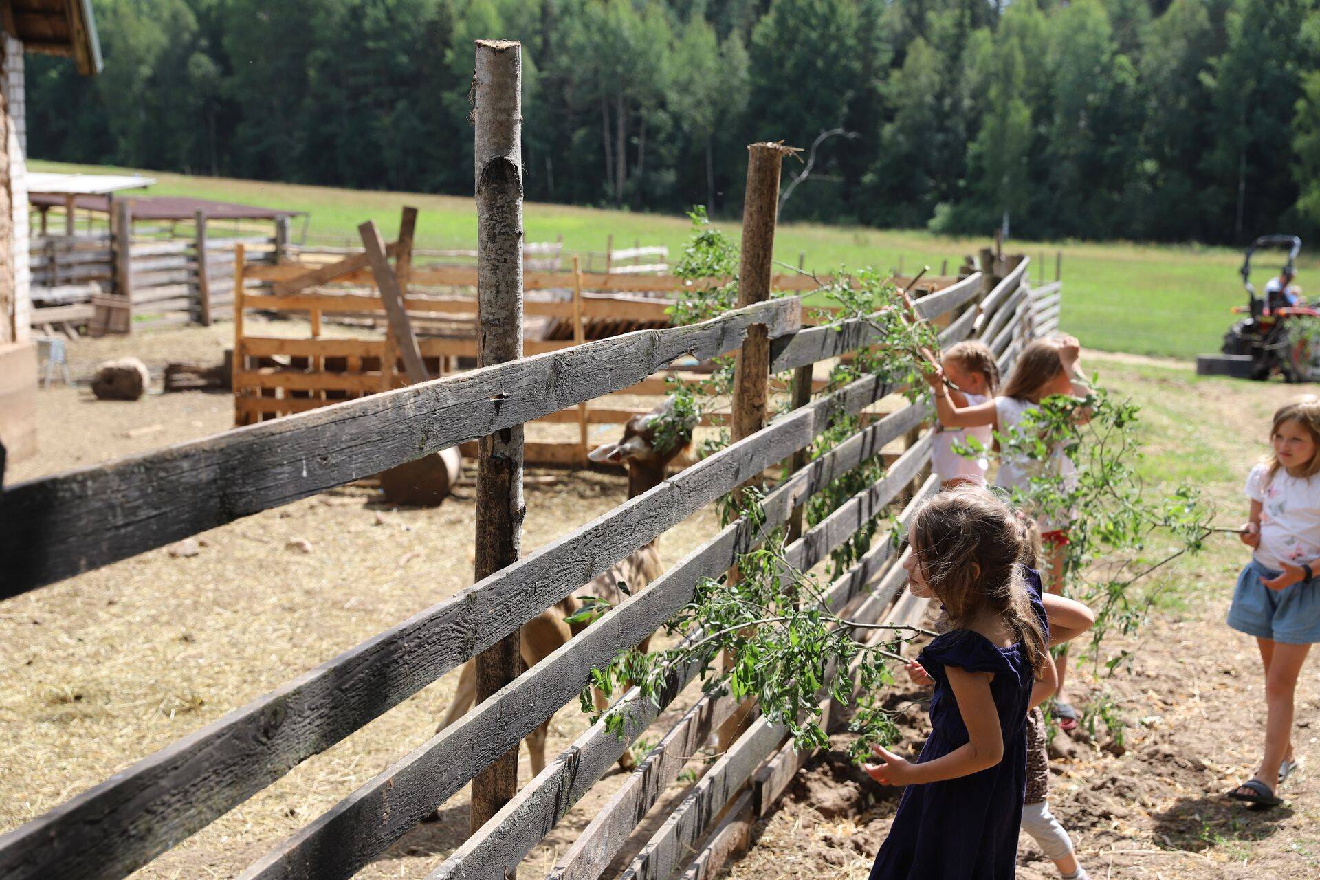 Lapsed kitsi toitmas.