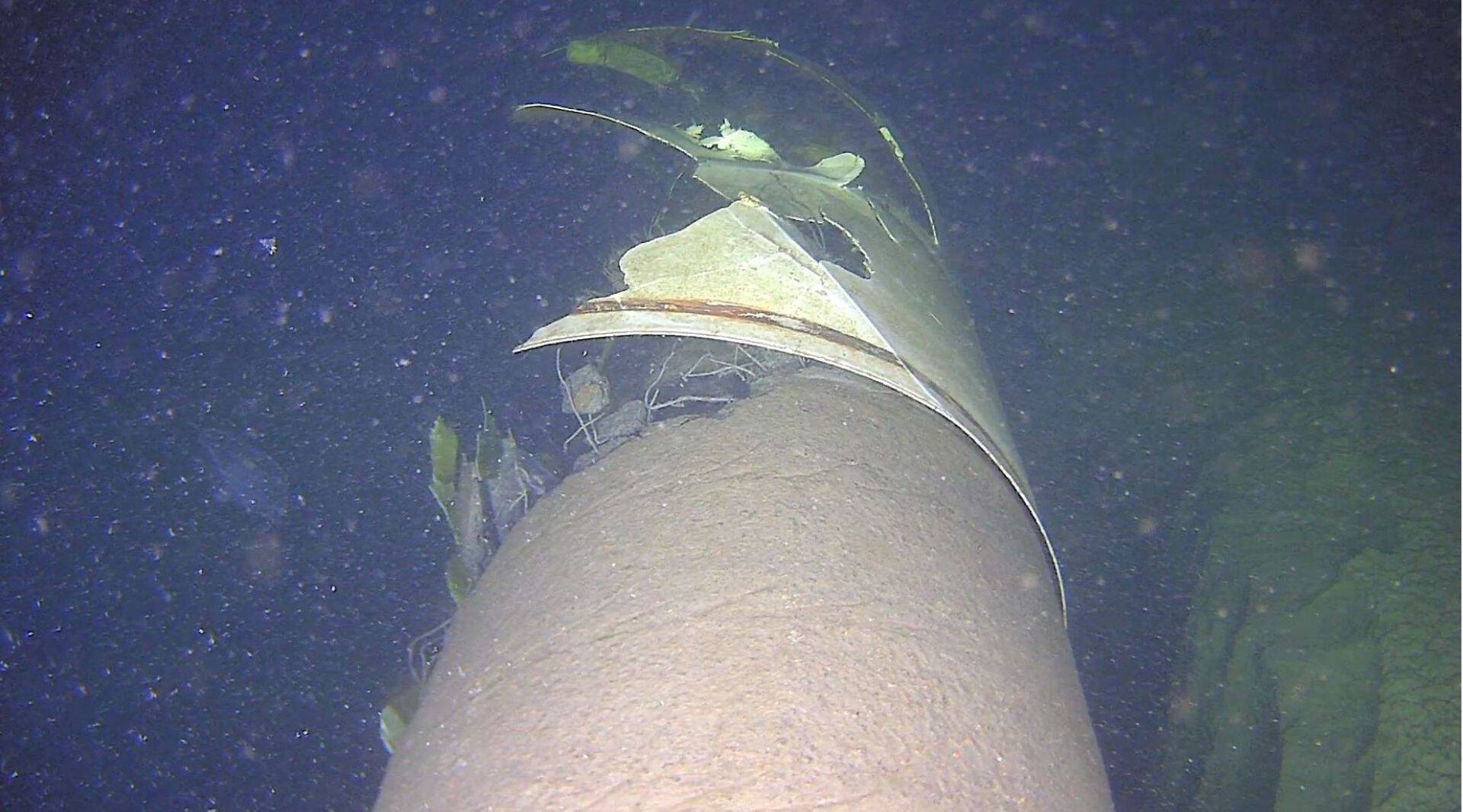 Повреждение Balticconnector.