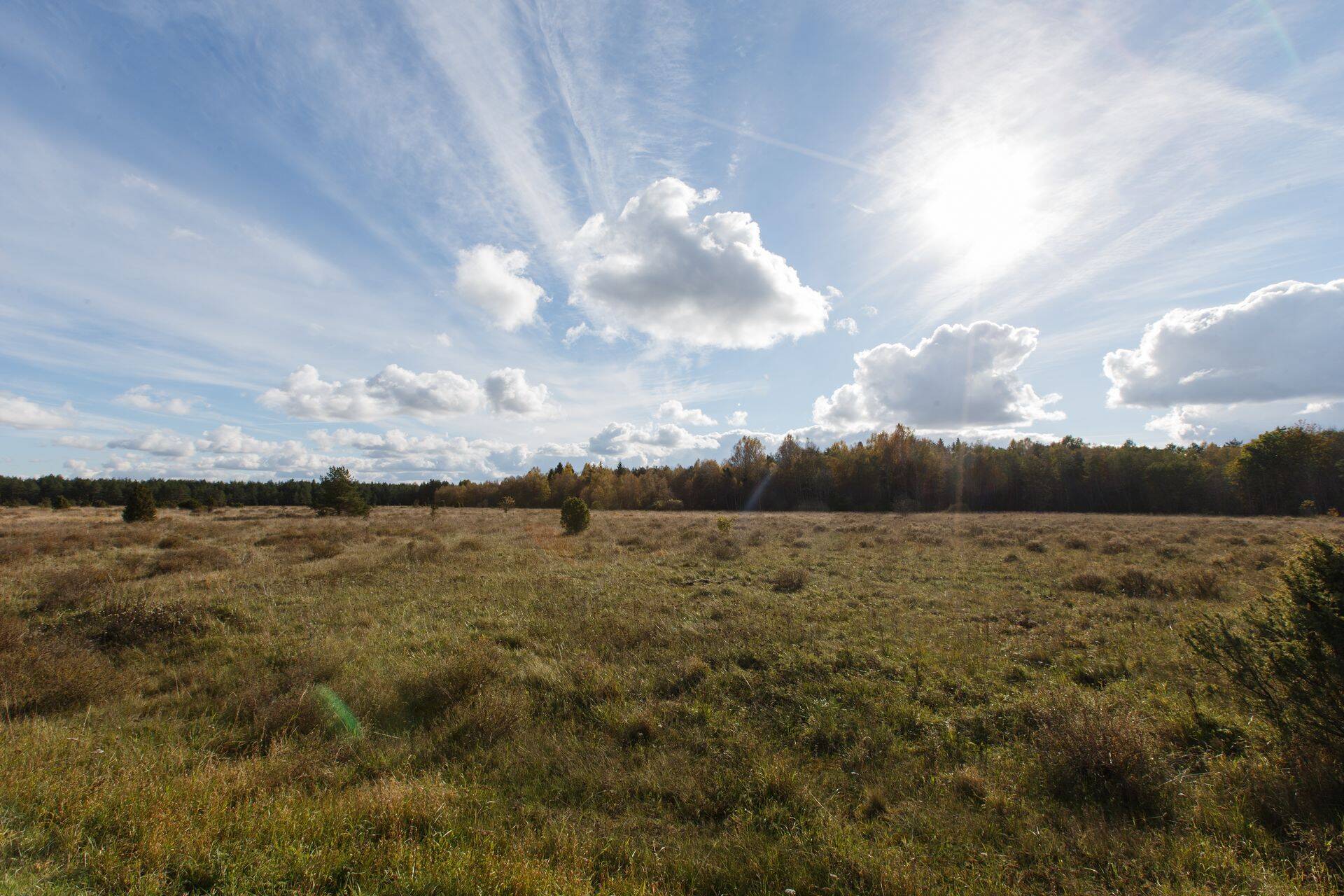 Arendajatel saavad krundid otsa.