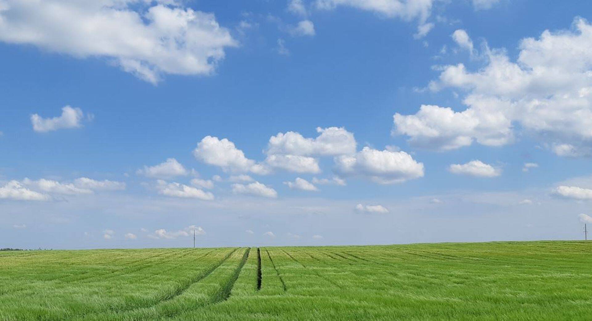 Odrapõld Harjumaal.