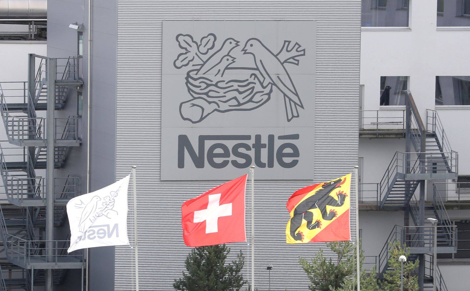 Nestle kasum küll kahanes, aga ületas ootusi.
