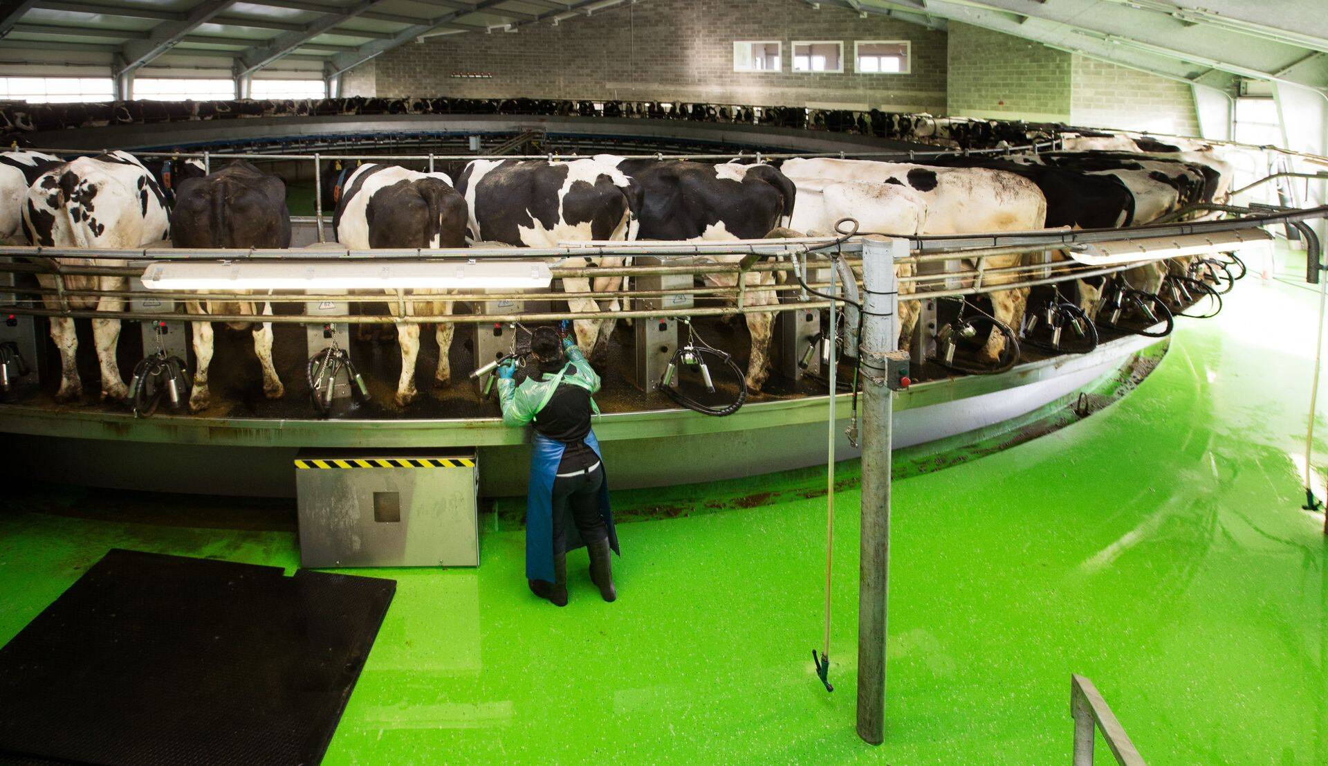 Põllumajandus on viimase kümne aastaga palju muutunud. Fotol meie ühe tippfarmi, Väätsa Agro, kaasaegne piimafarm.