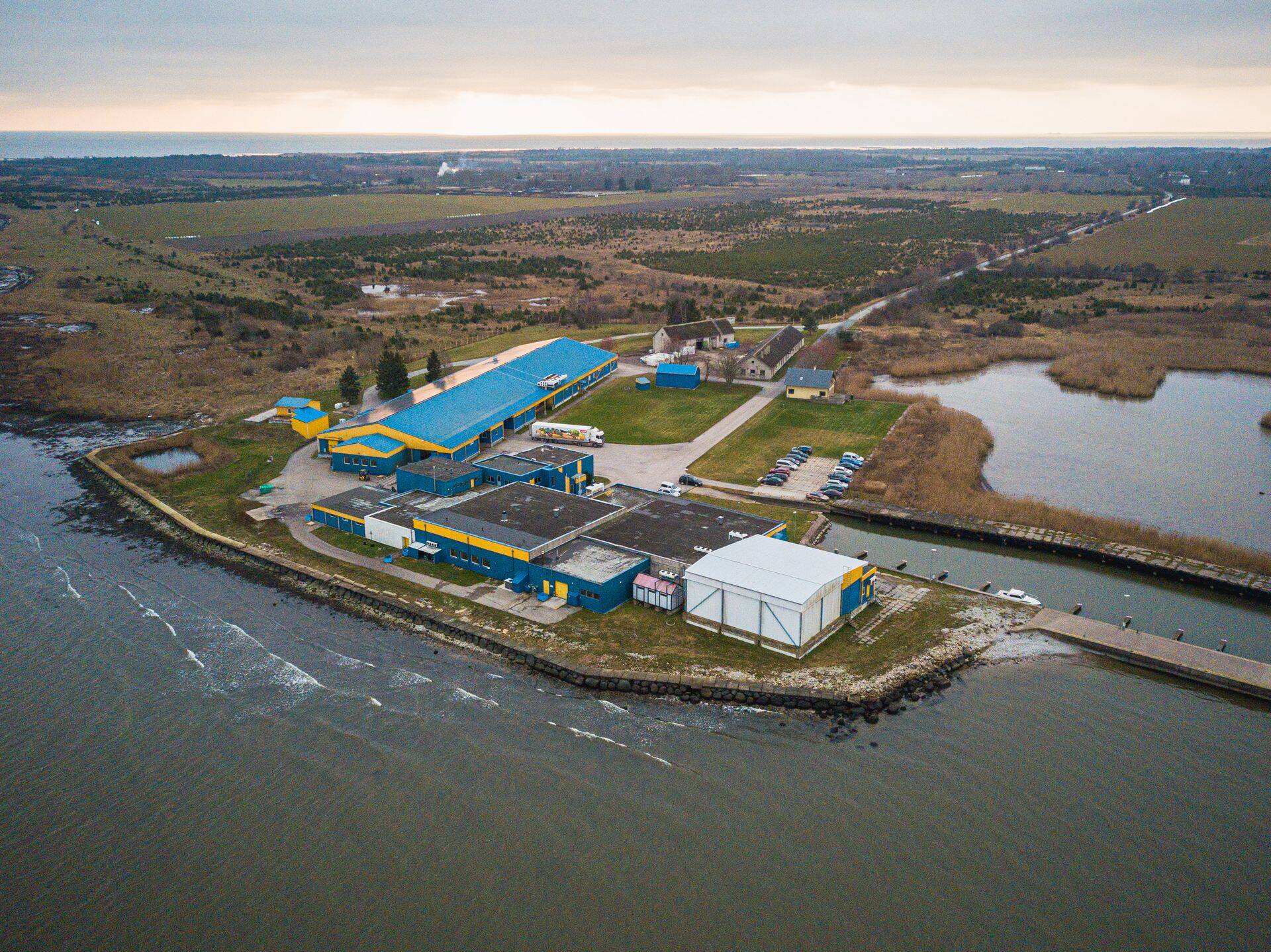 Saaremaa kalakasvanduses lasti vette kümnete tonnide jagu kalamaime.