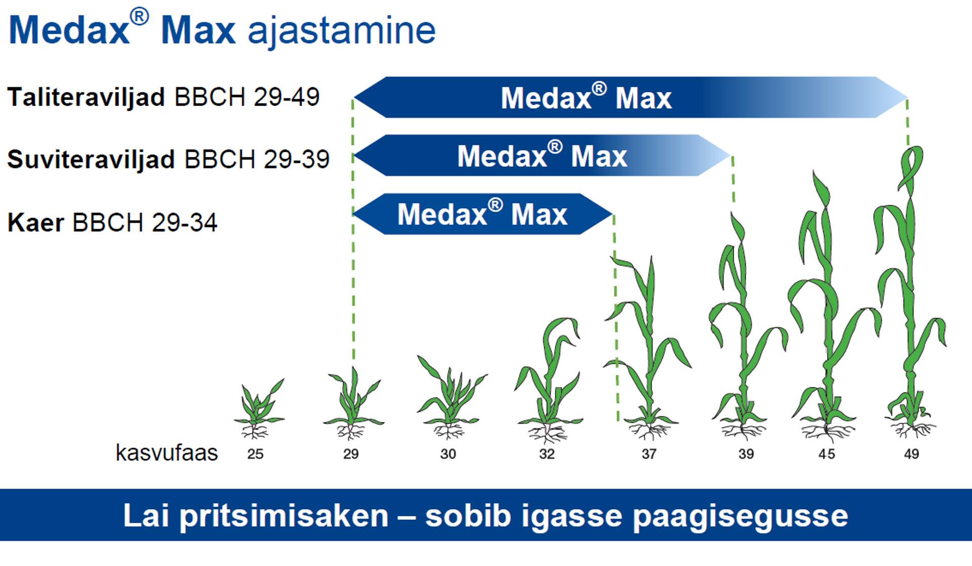 Medax Max pritsimise aken.