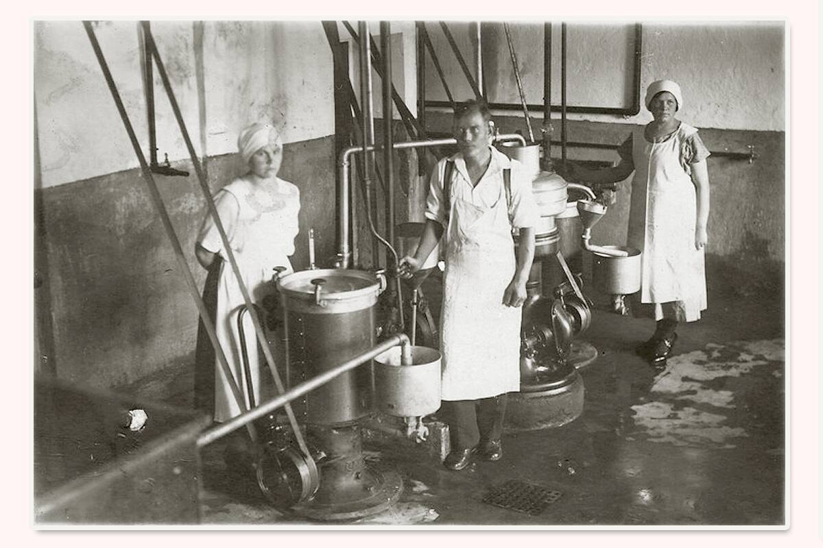 Обработка сливок на молокозаводе в Вихула, 1930-е