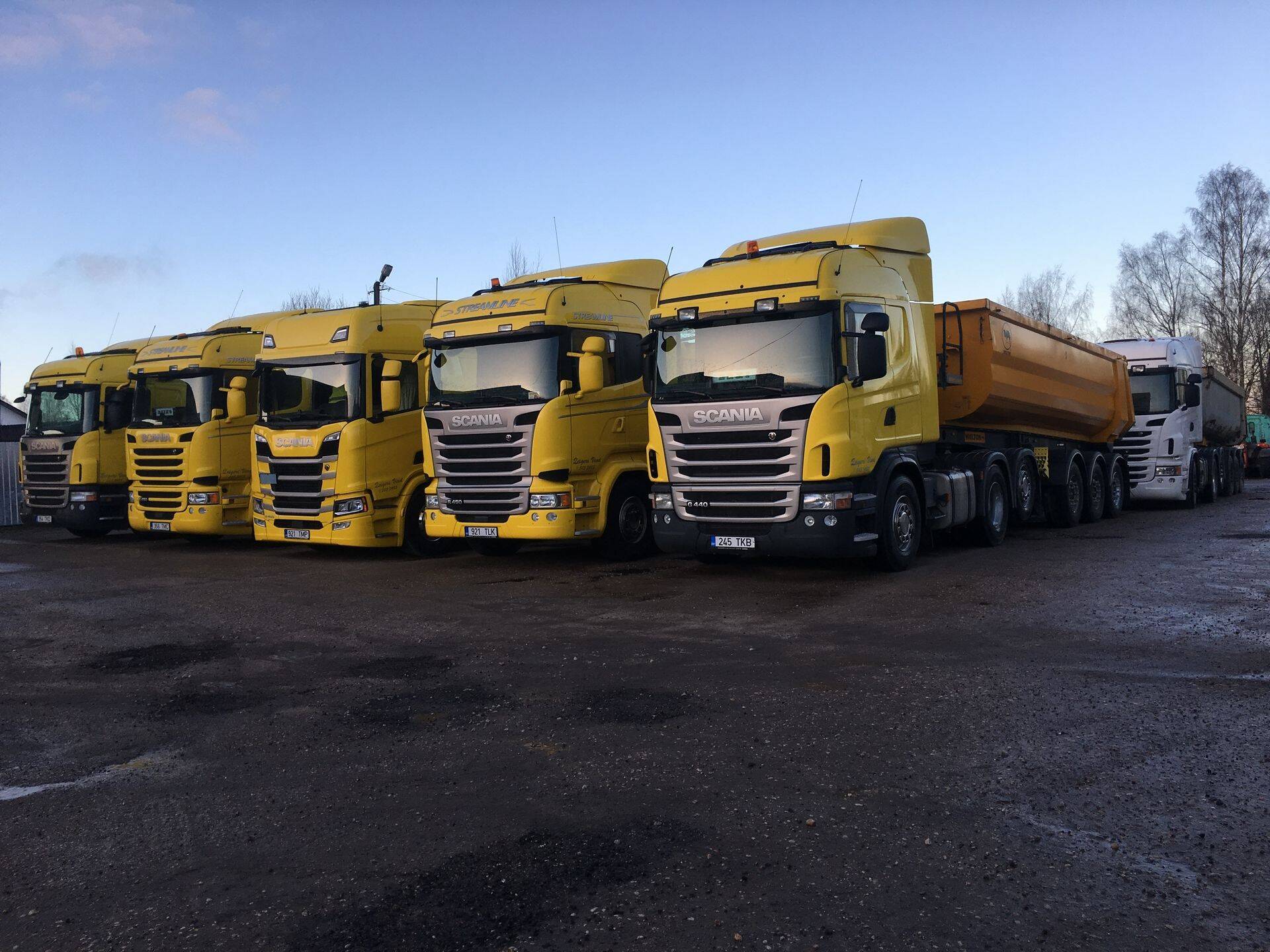 Lisaks transporditeenusele pakub Zeigeri Veod oma töökohas veoautode remonti ning rehvitöid