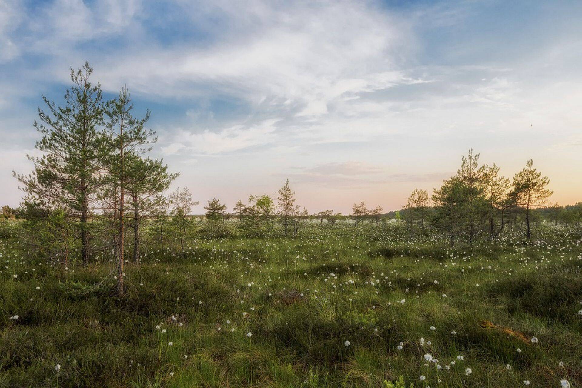 Eesti loodus.