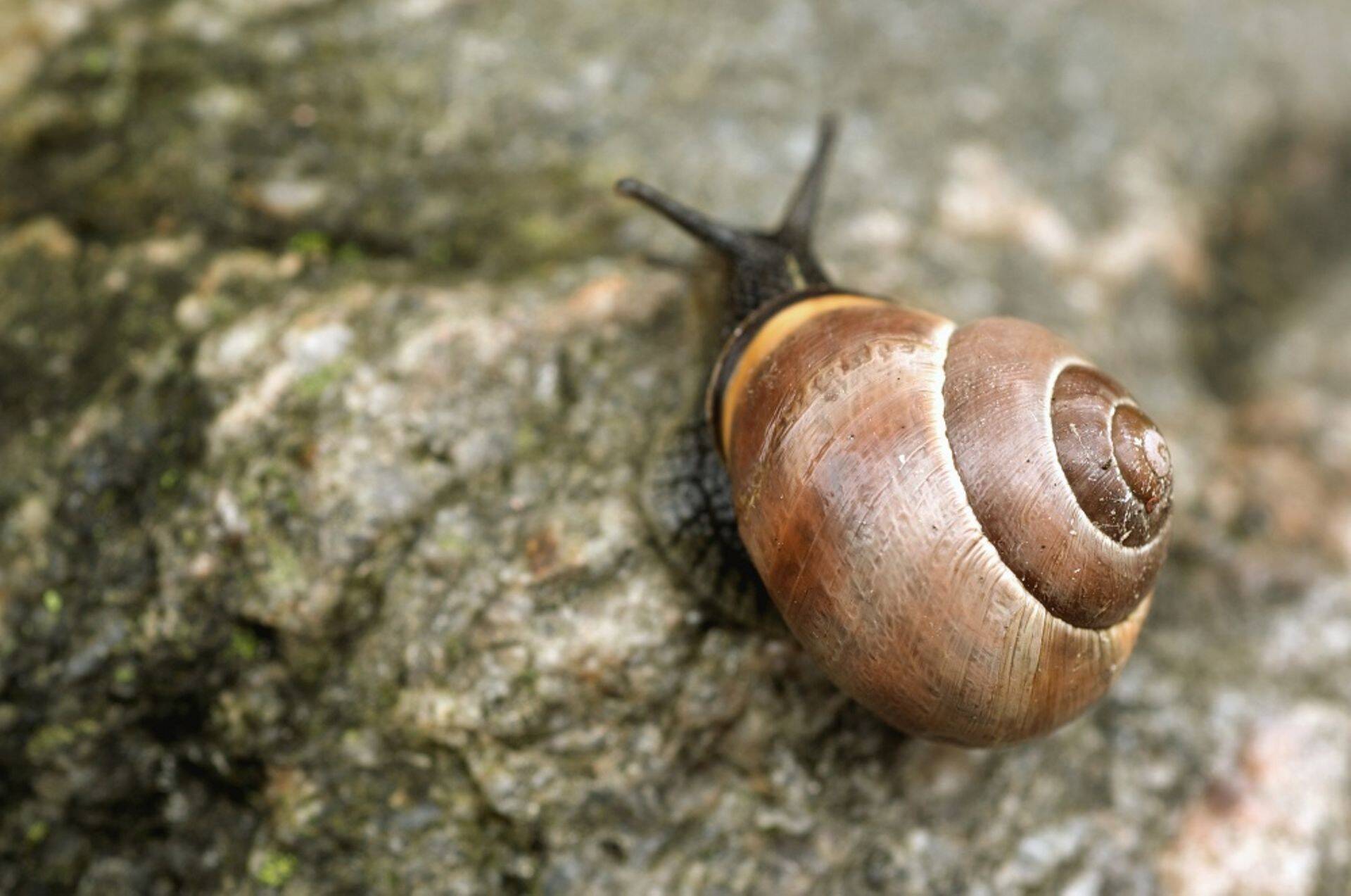 Экономический рост существенно замедлился